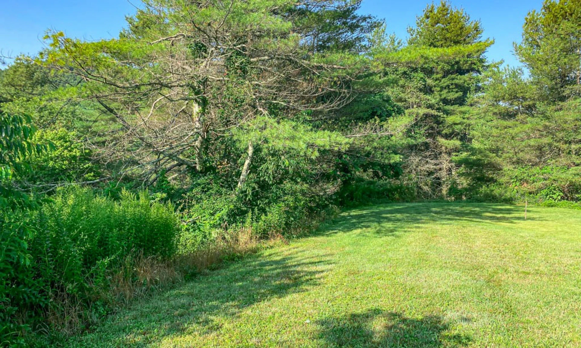 Image number 1 for the current listing
