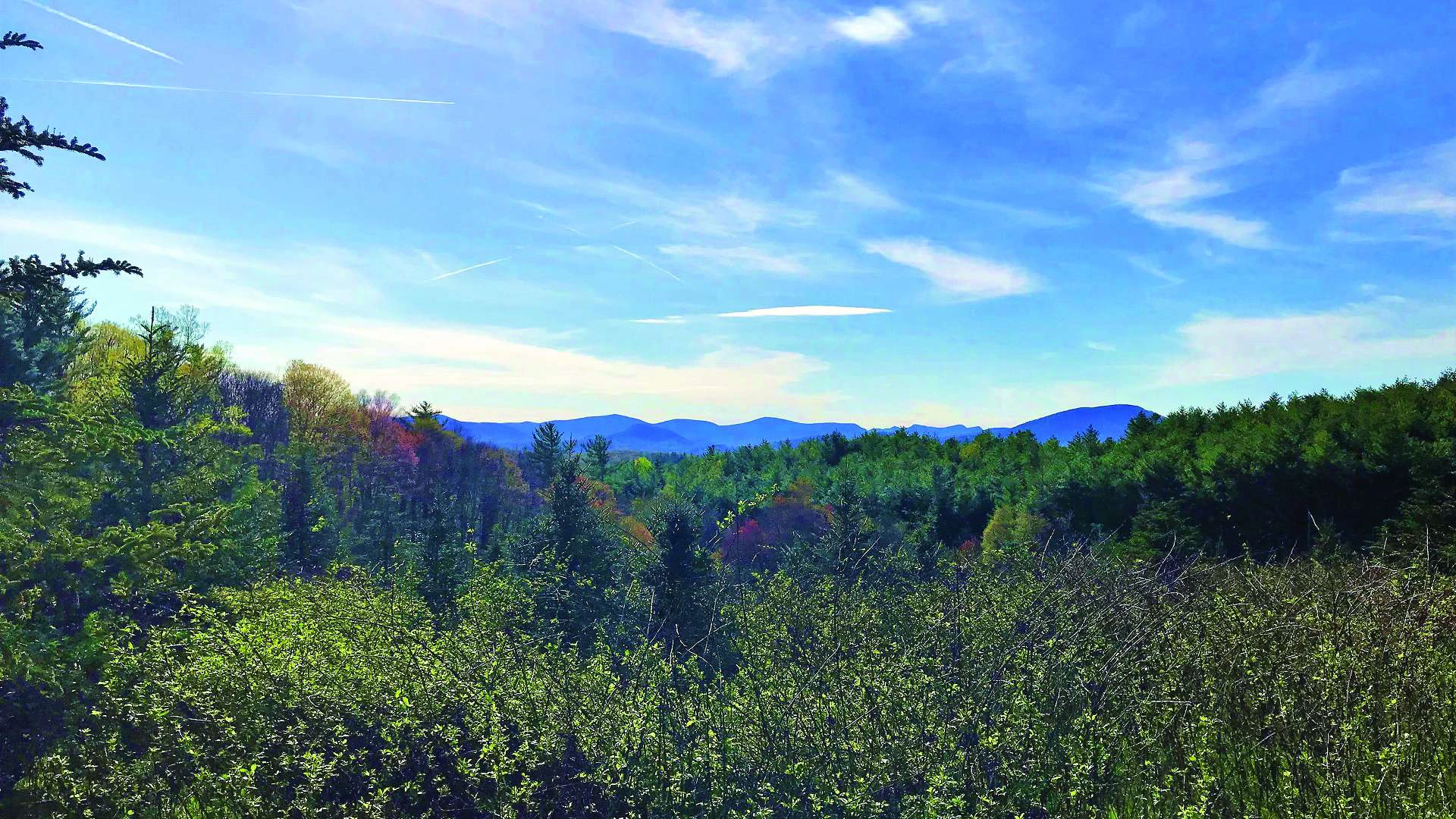 Image number 3 for the current listing