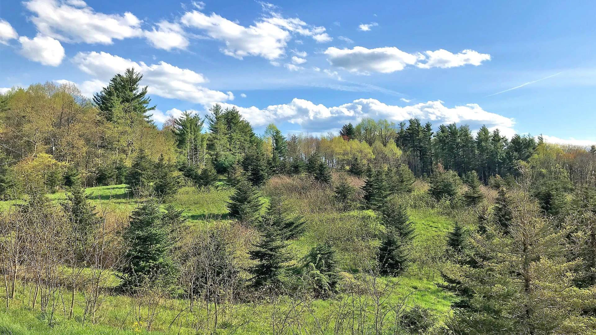 Image number 4 for the current listing