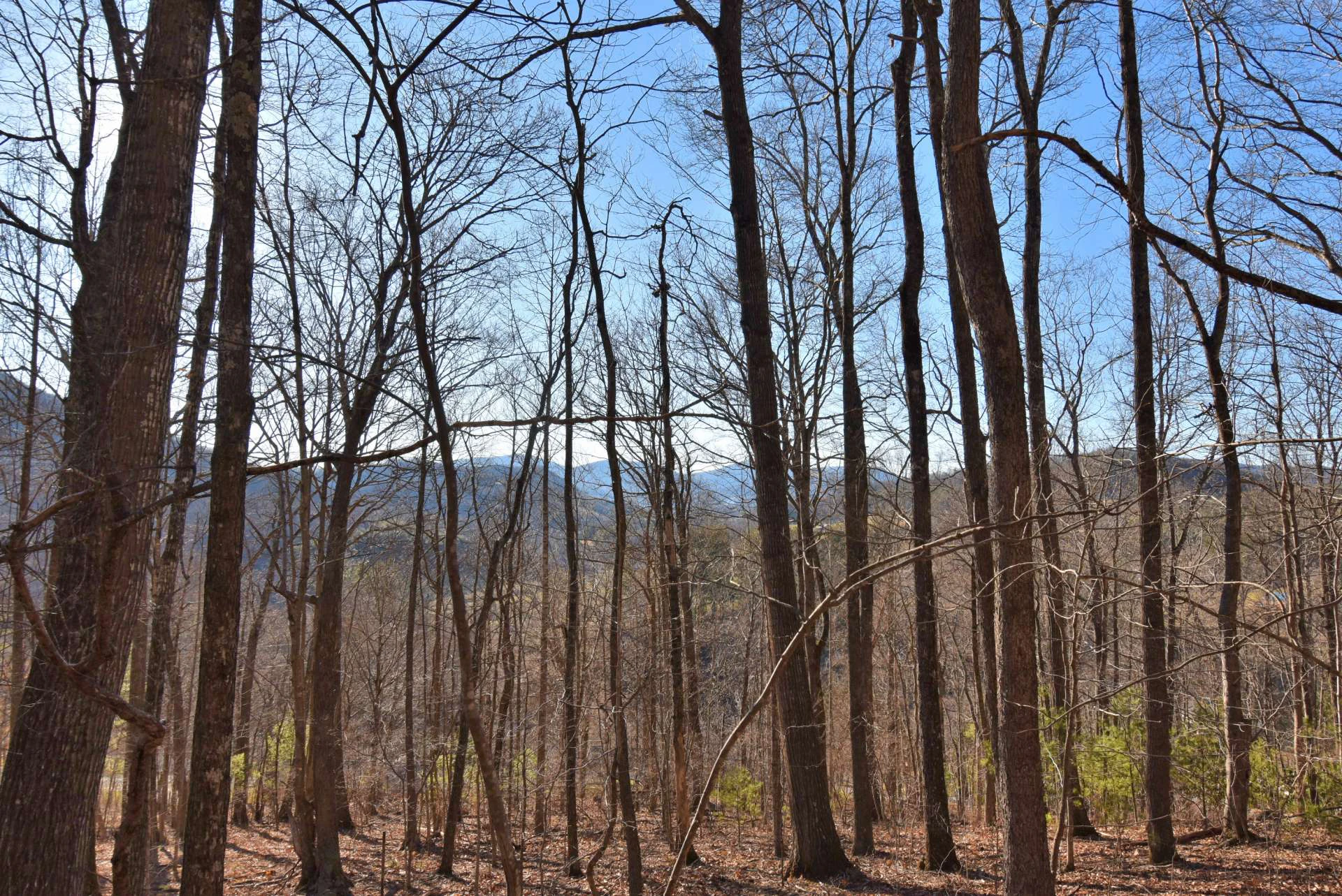 Image number 4 for the current listing