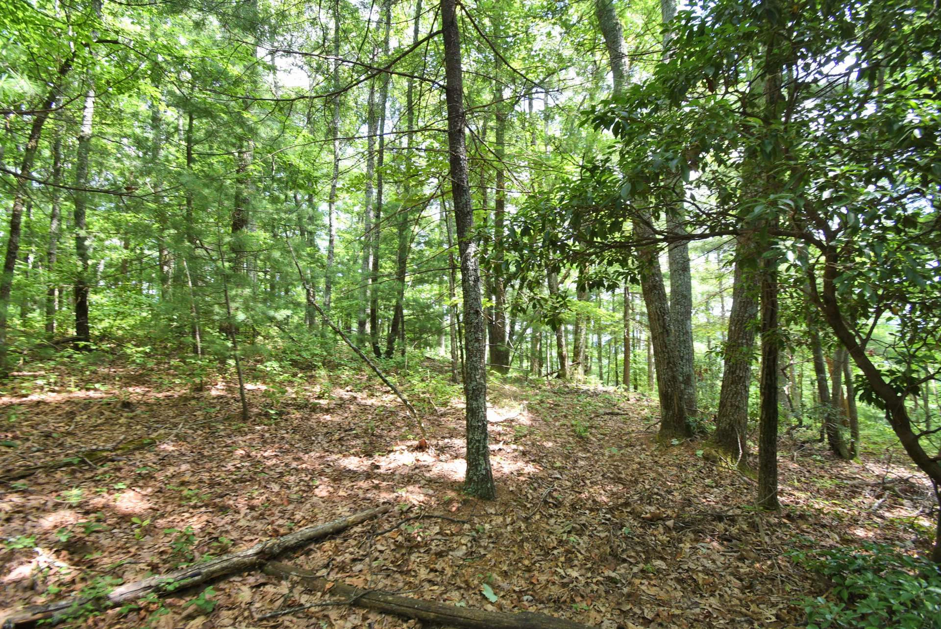 Image number 10 for the current listing
