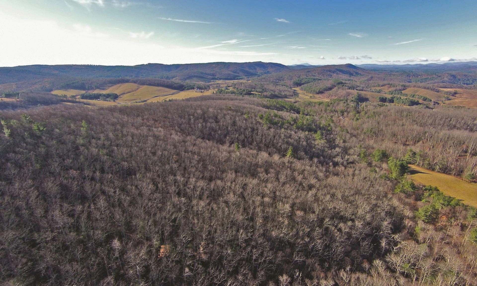 Image number 1 for the current listing