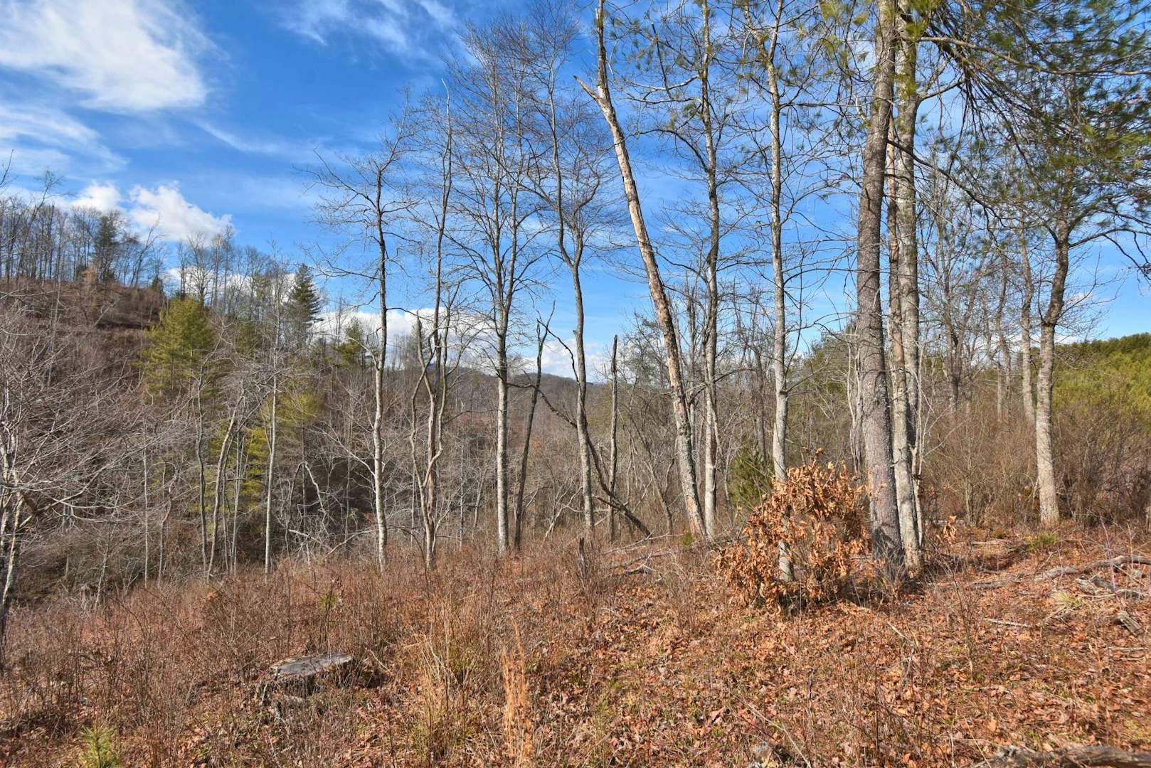 Image number 21 for the current listing