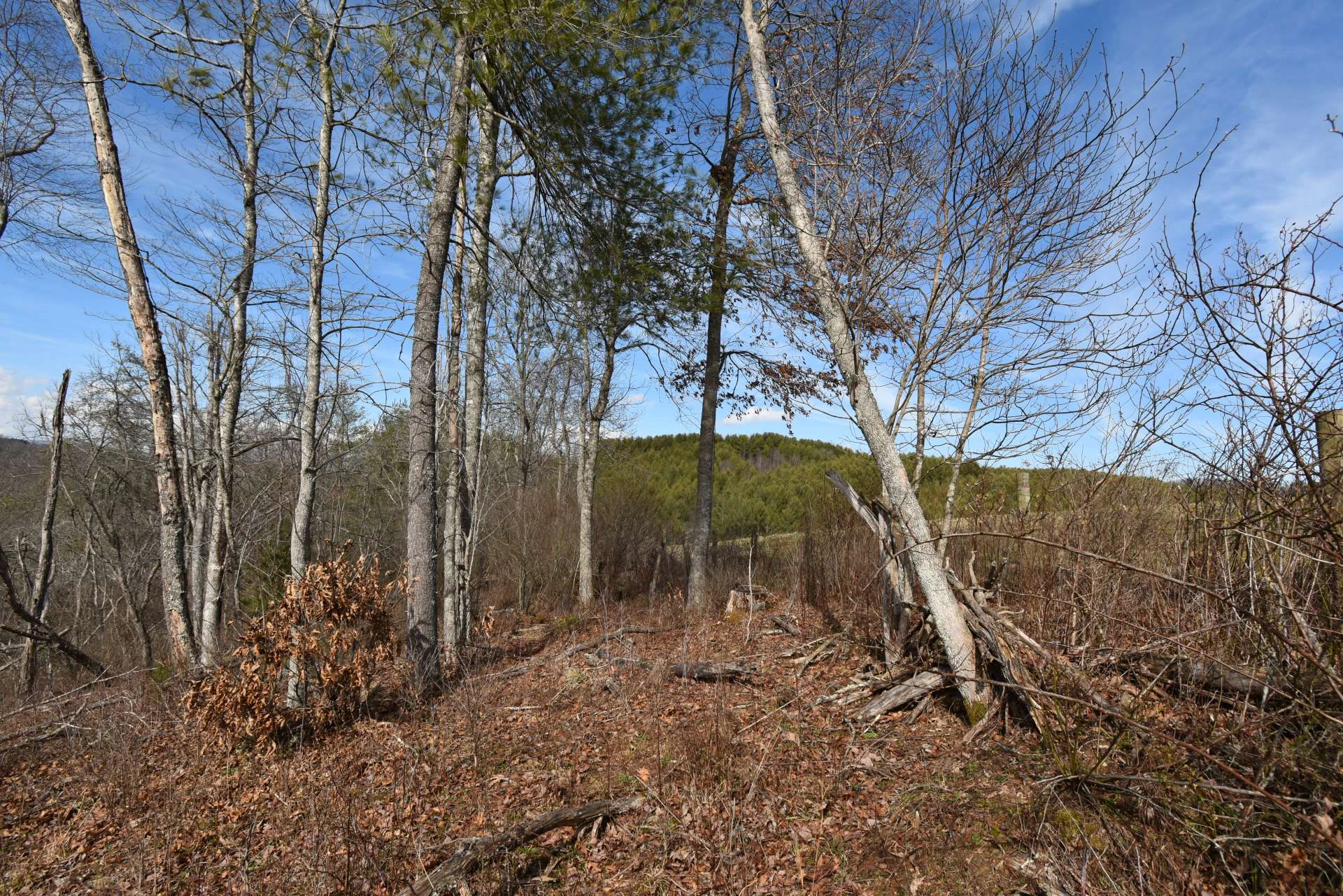 Image number 20 for the current listing