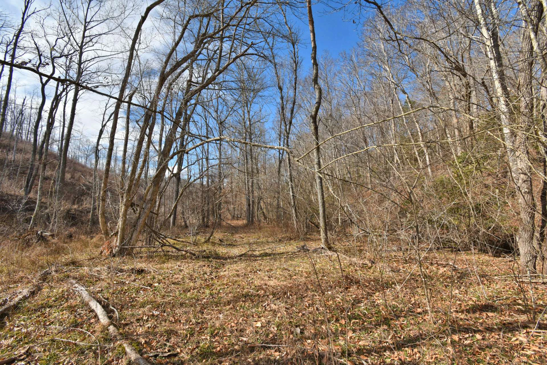 Image number 14 for the current listing