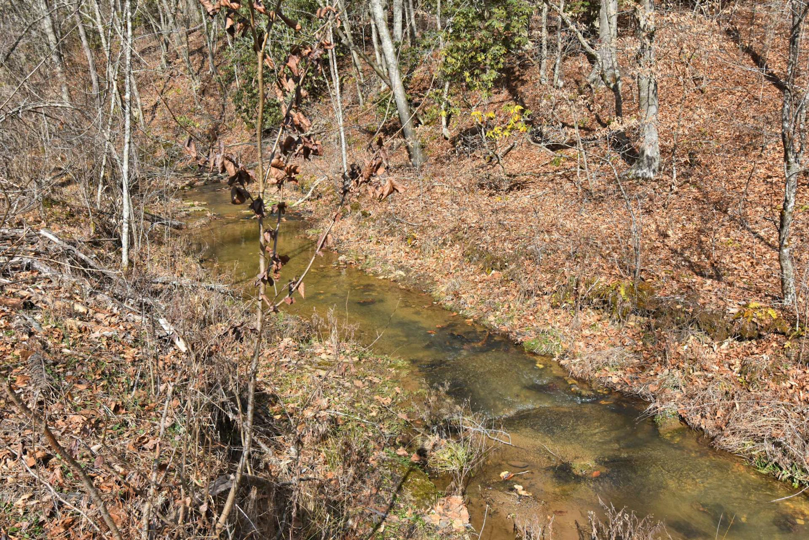 Image number 2 for the current listing