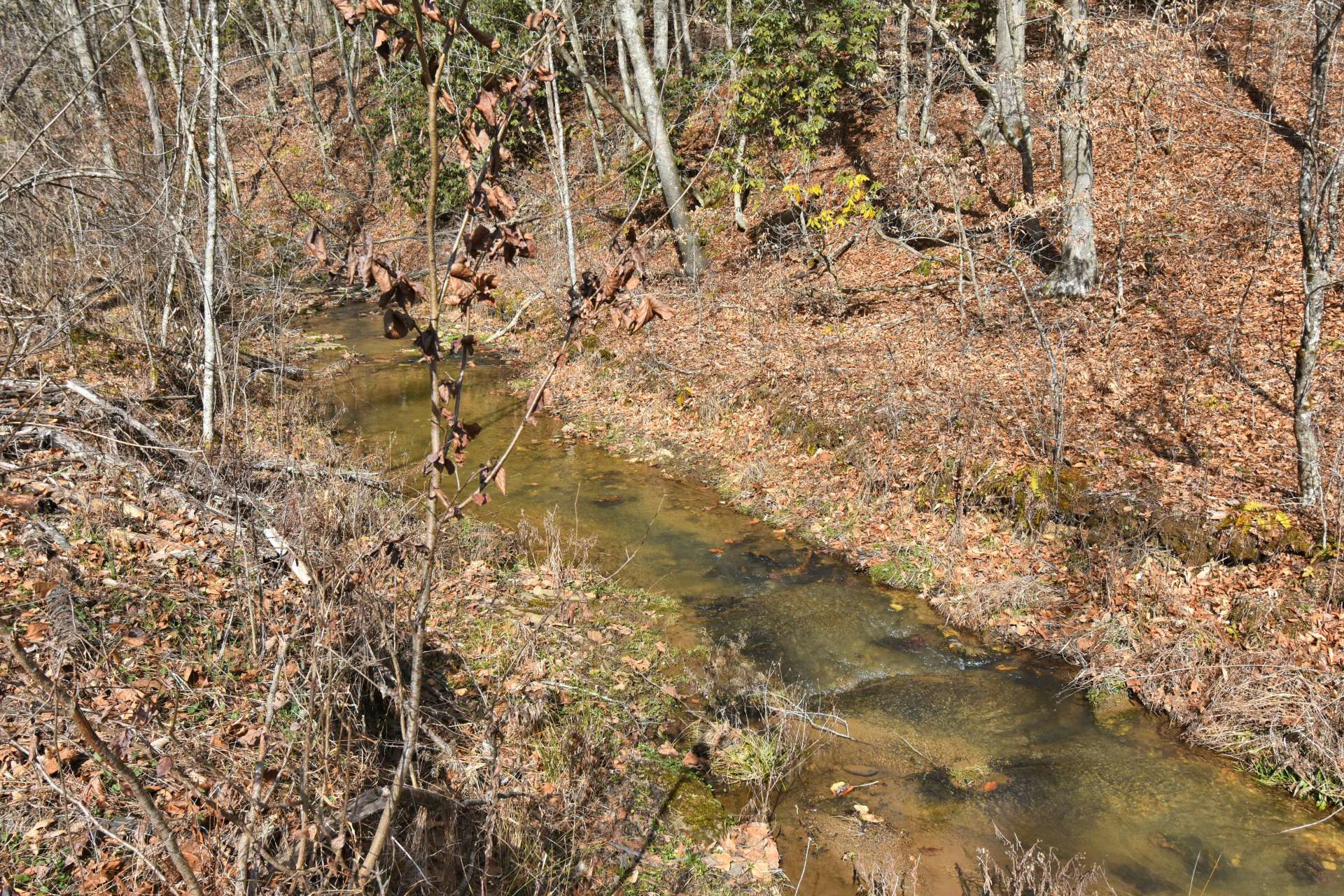 Image number 2 for the current listing