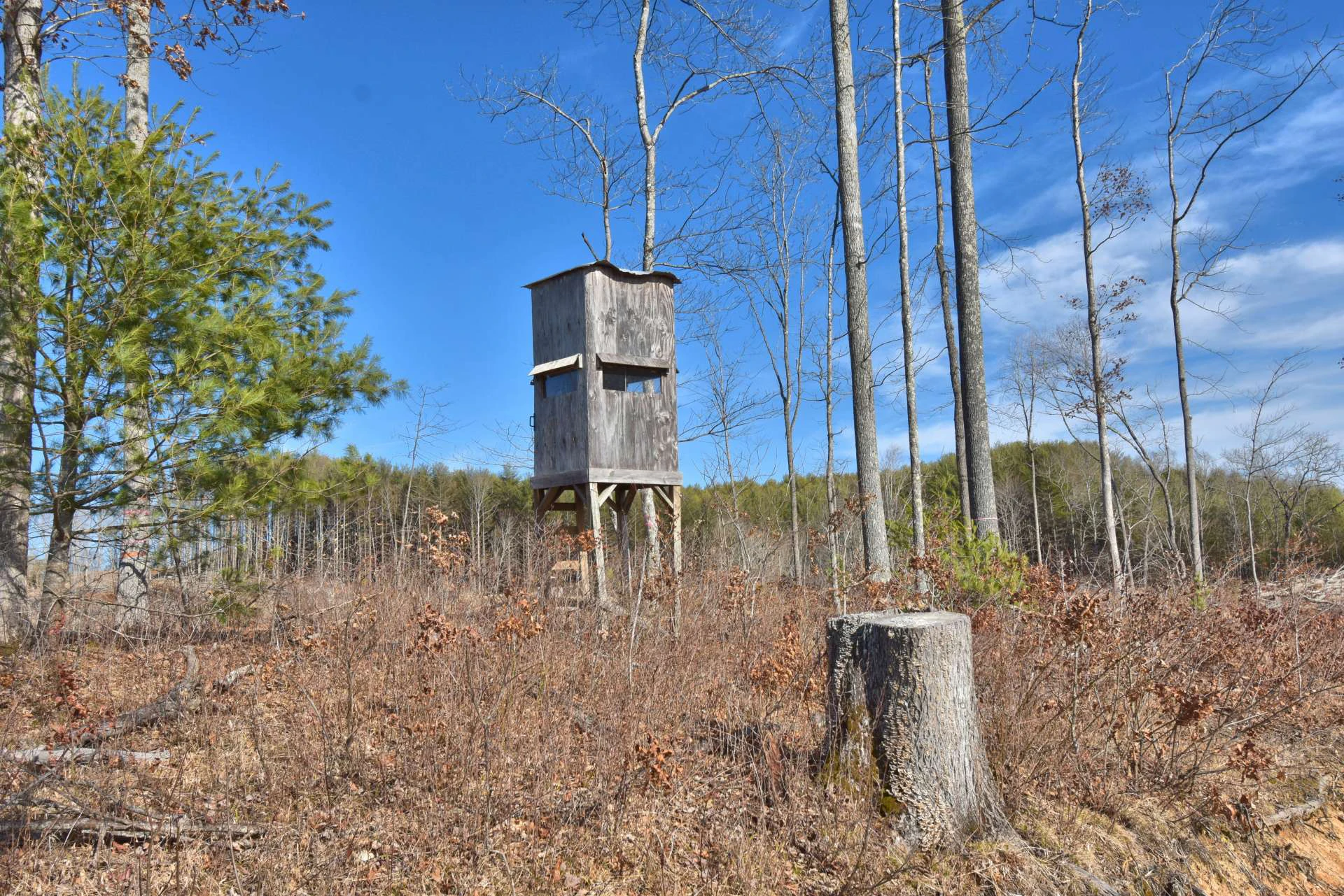 Image number 9 for the current listing