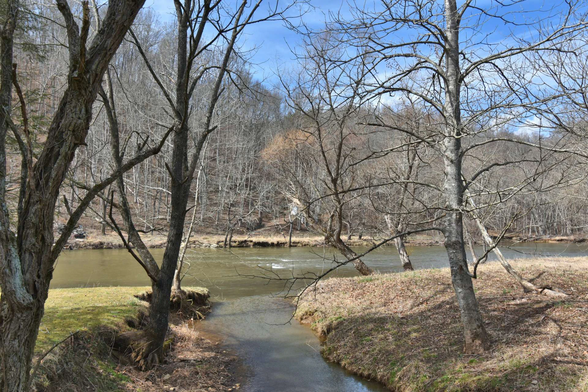 Image number 6 for the current listing