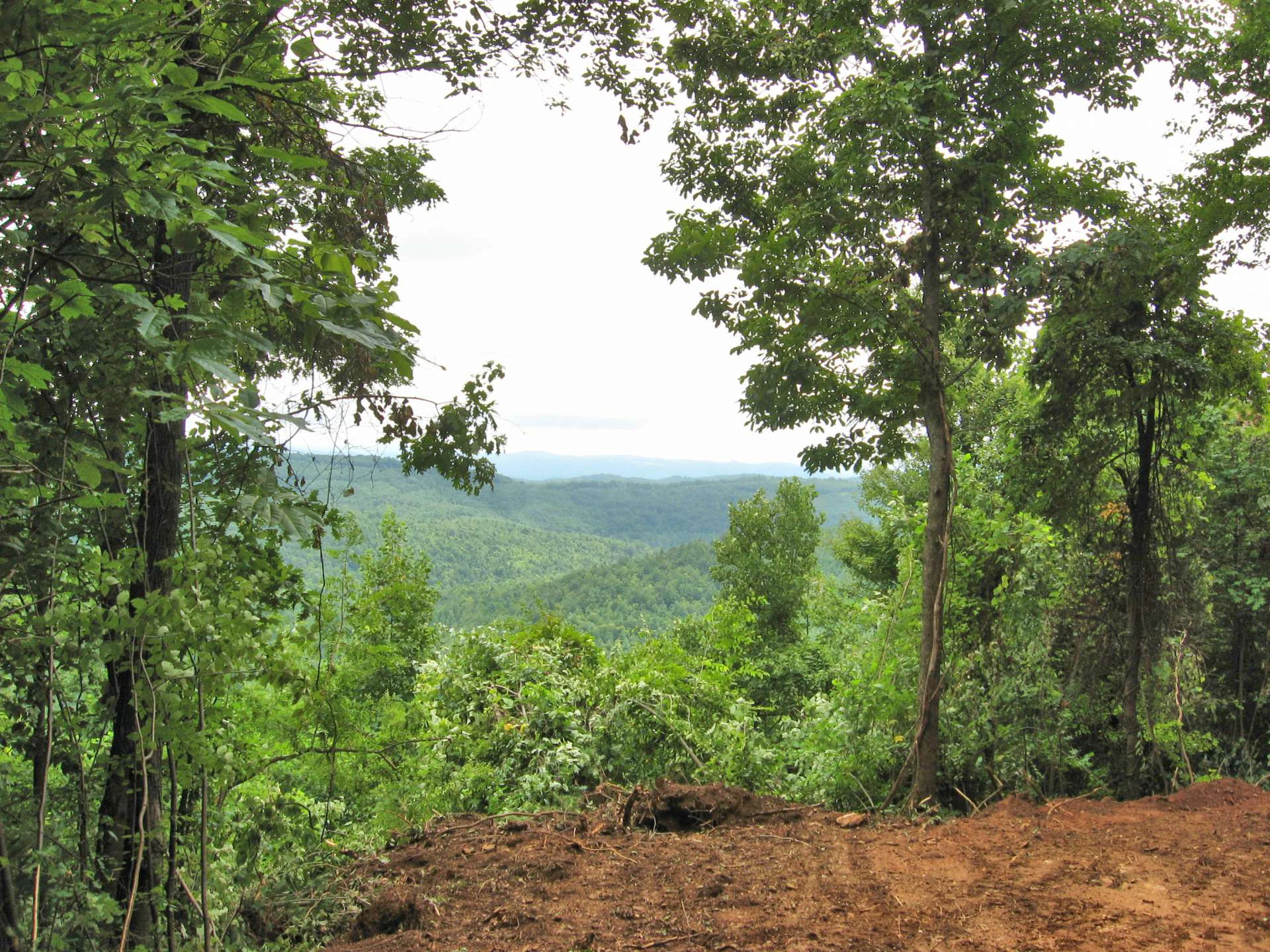 Image number 6 for the current listing