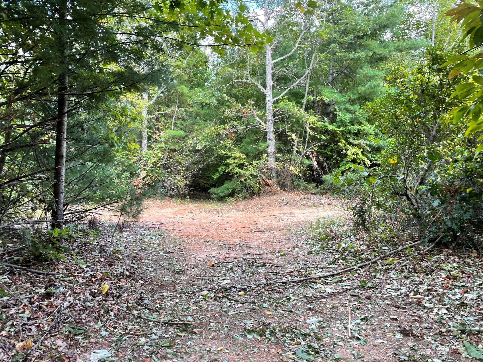 Image number 11 for the current listing
