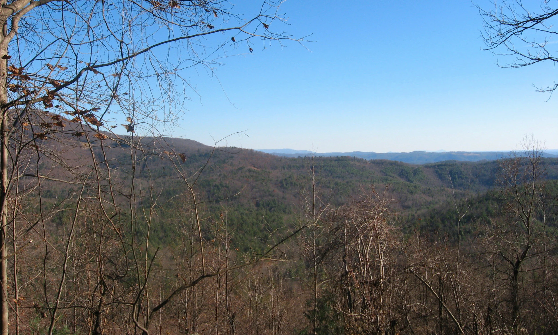 Image number 1 for the current listing