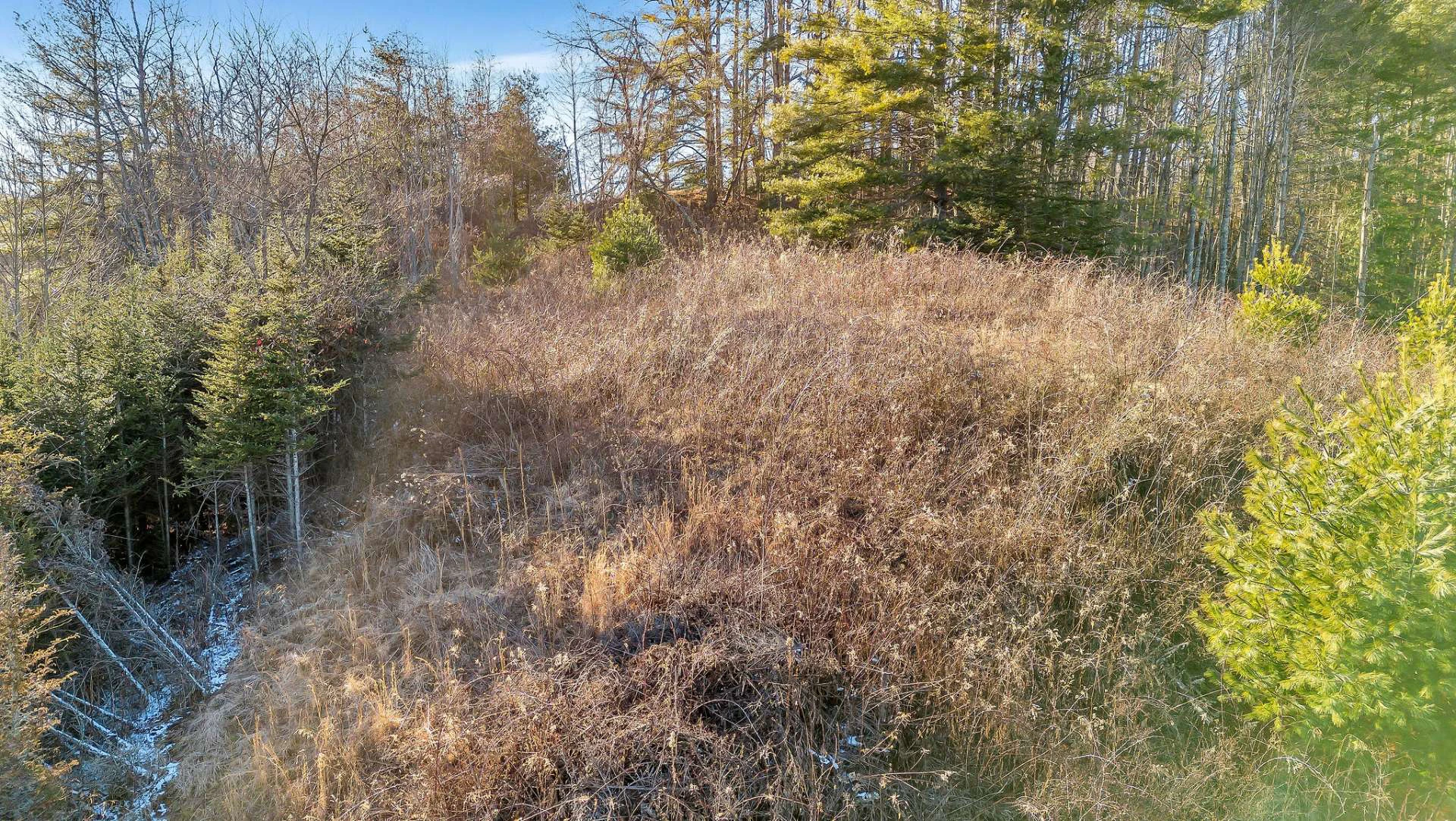 Image number 7 for the current listing