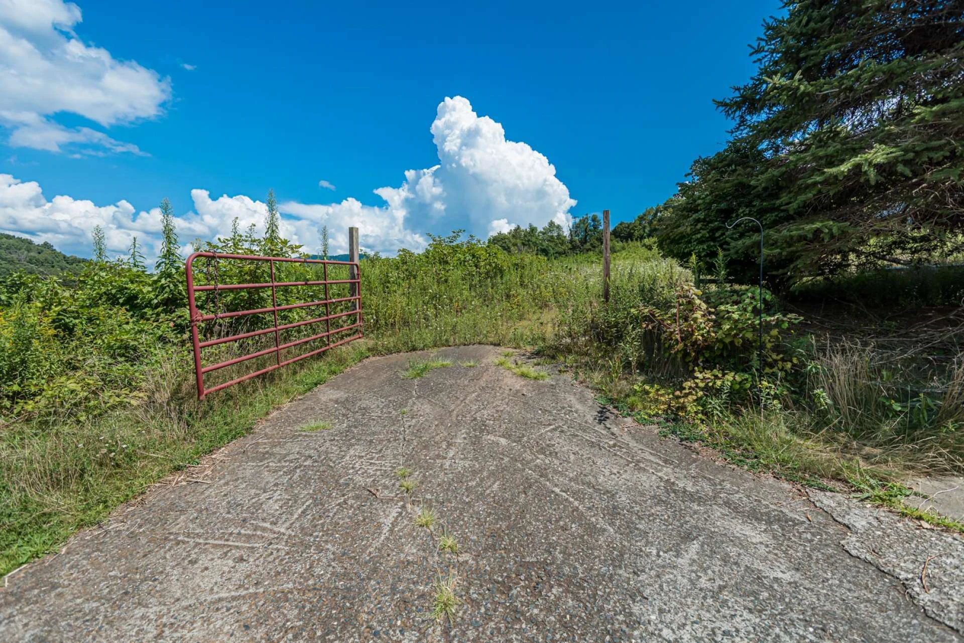 Image number 3 for the current listing