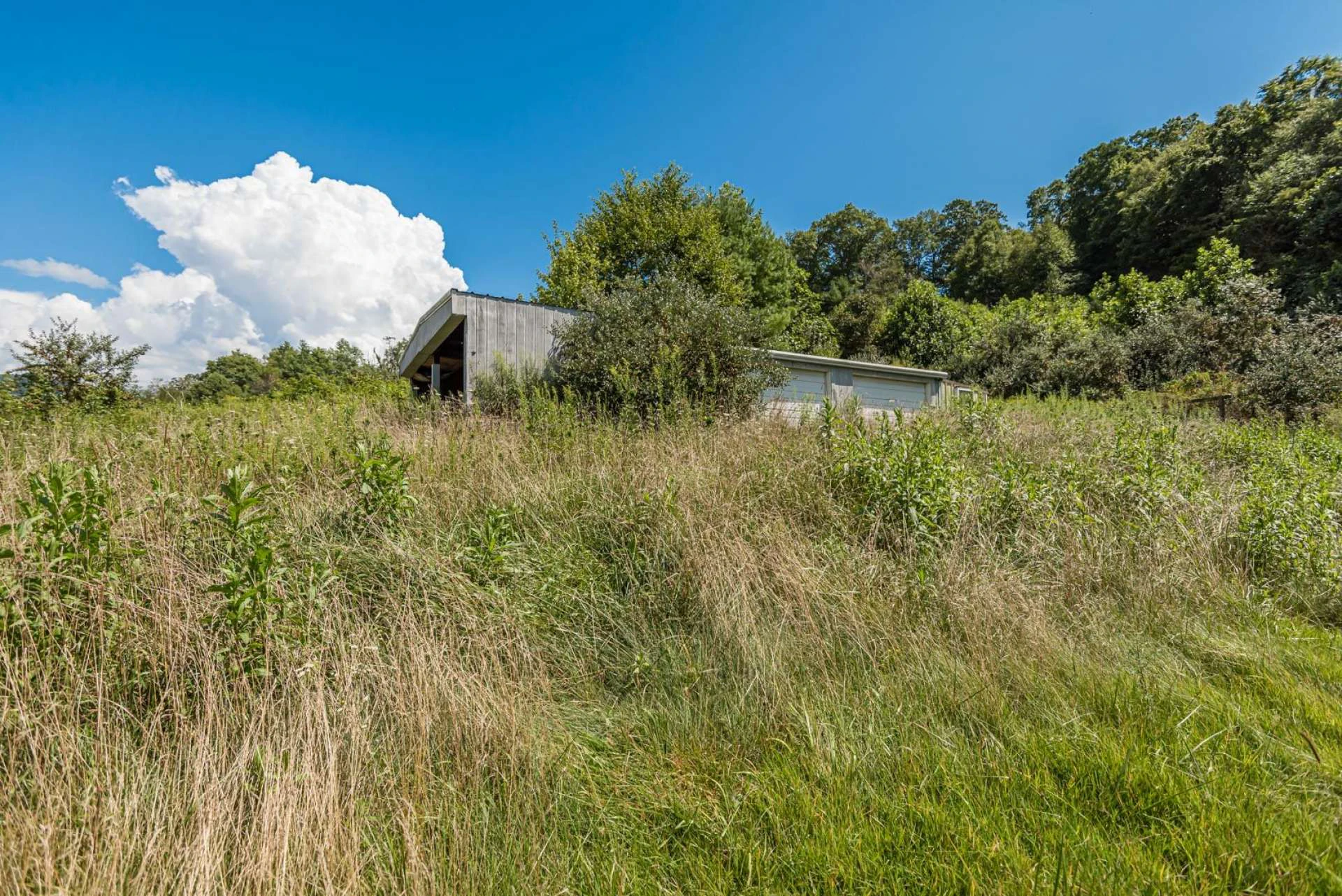 Image number 13 for the current listing