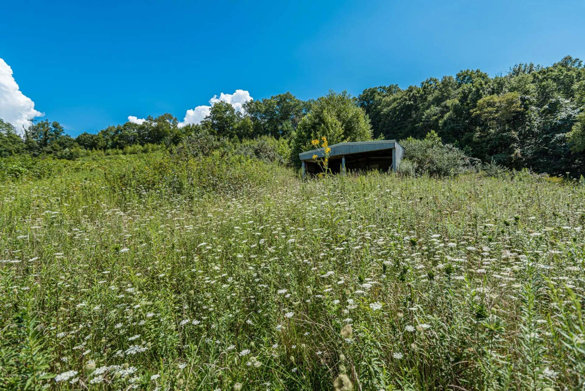 Image number 6 for the current listing