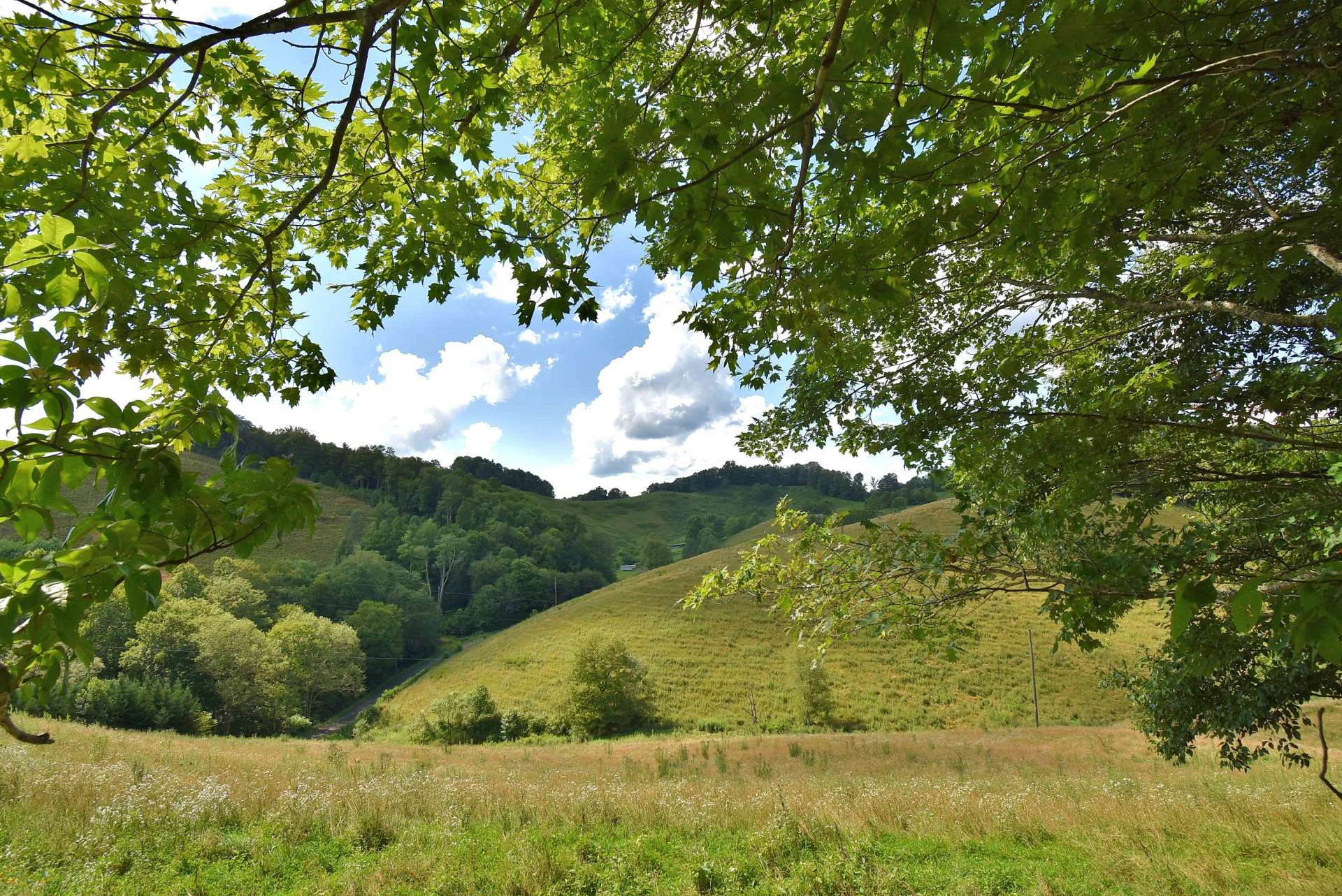 Image number 2 for the current listing