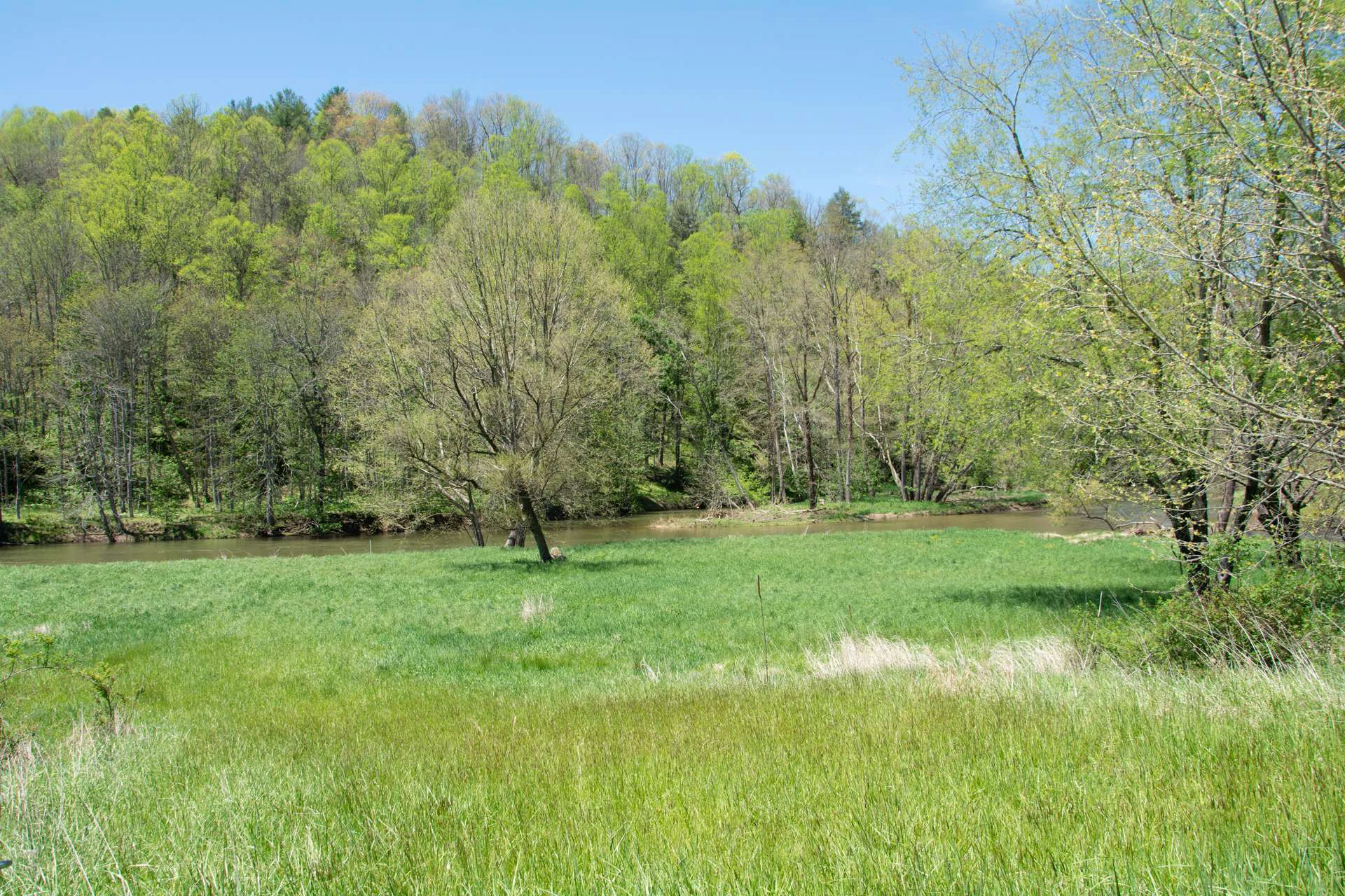 Image number 5 for the current listing