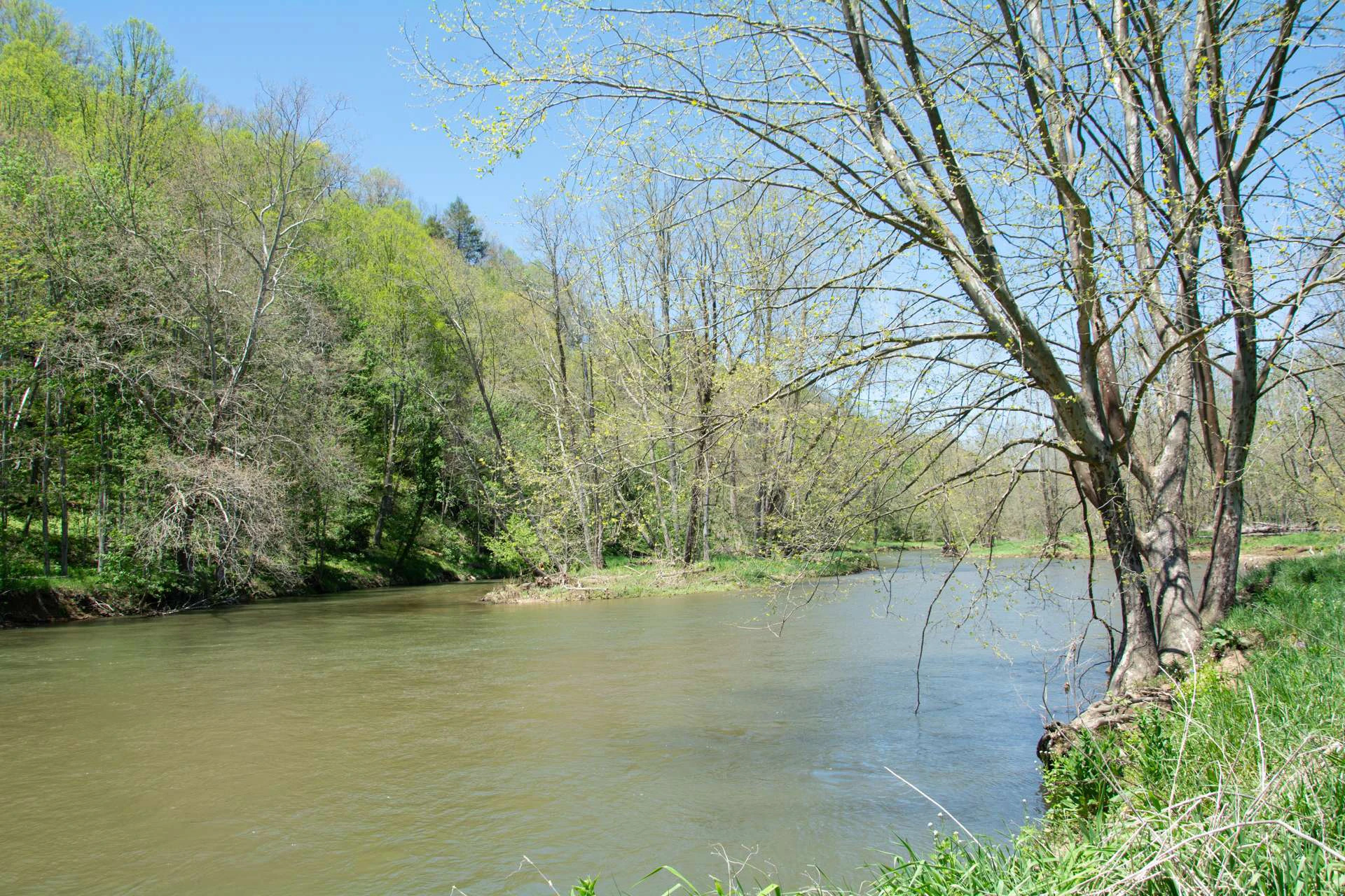 Image number 2 for the current listing