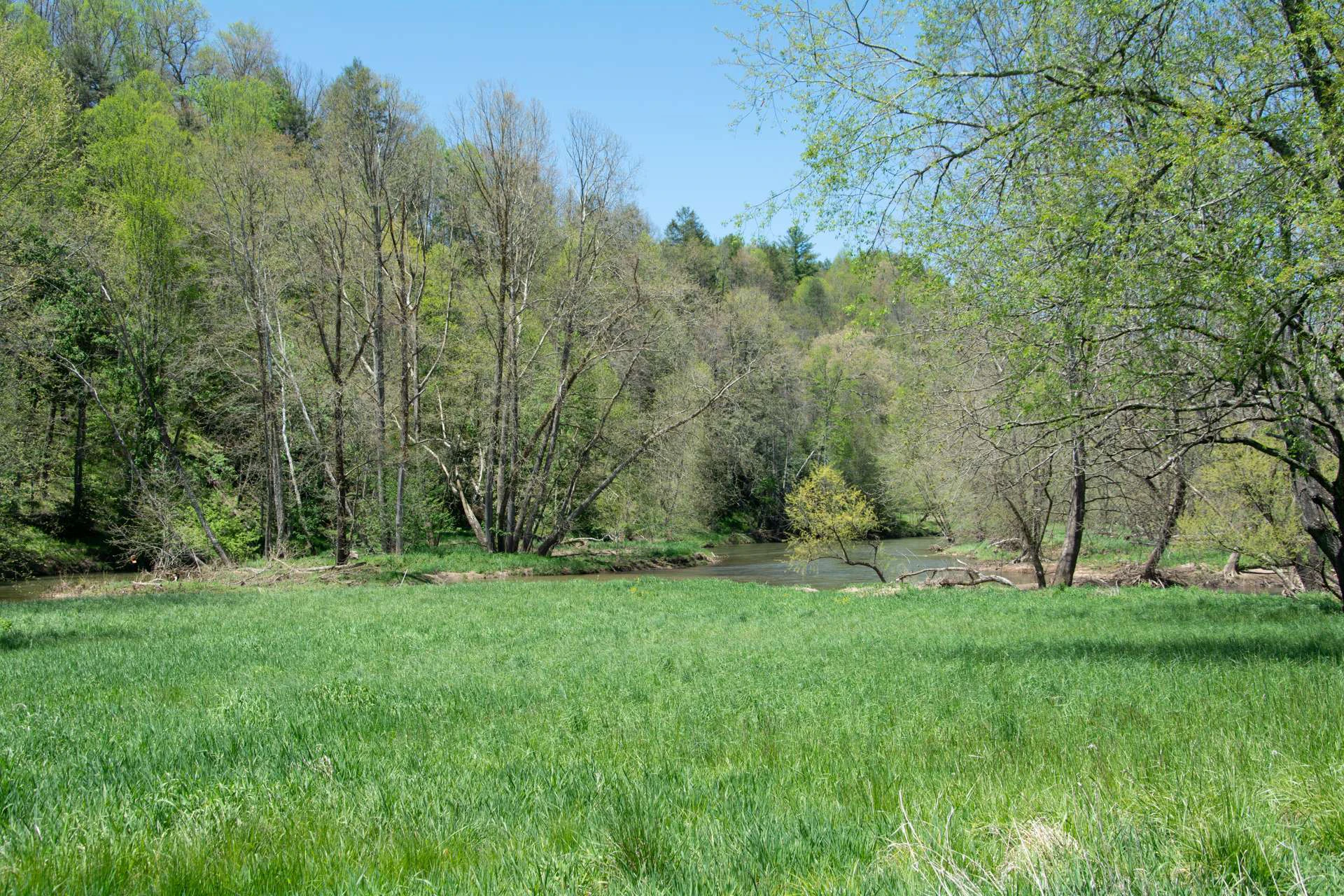 Image number 7 for the current listing