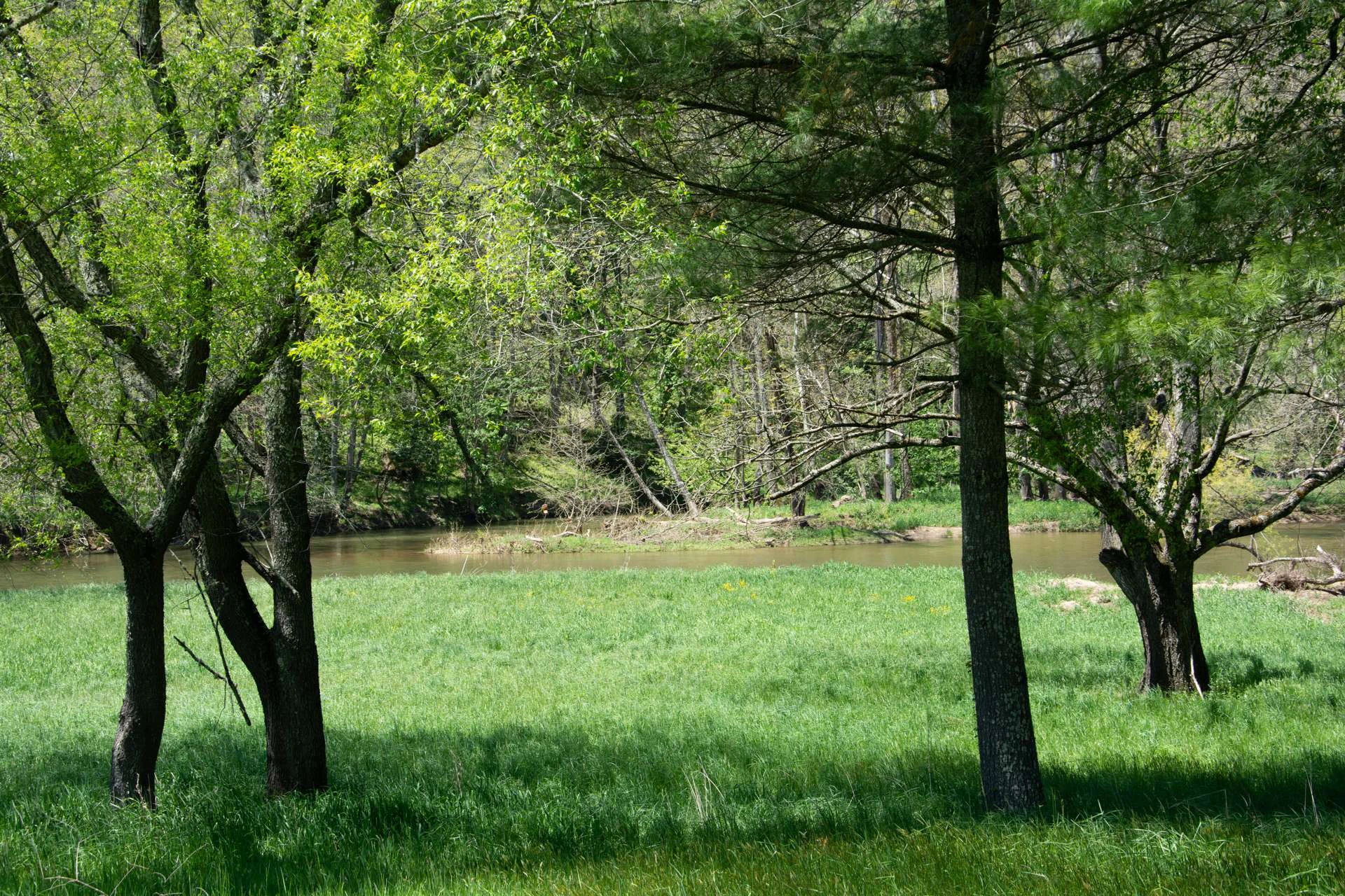 Image number 8 for the current listing