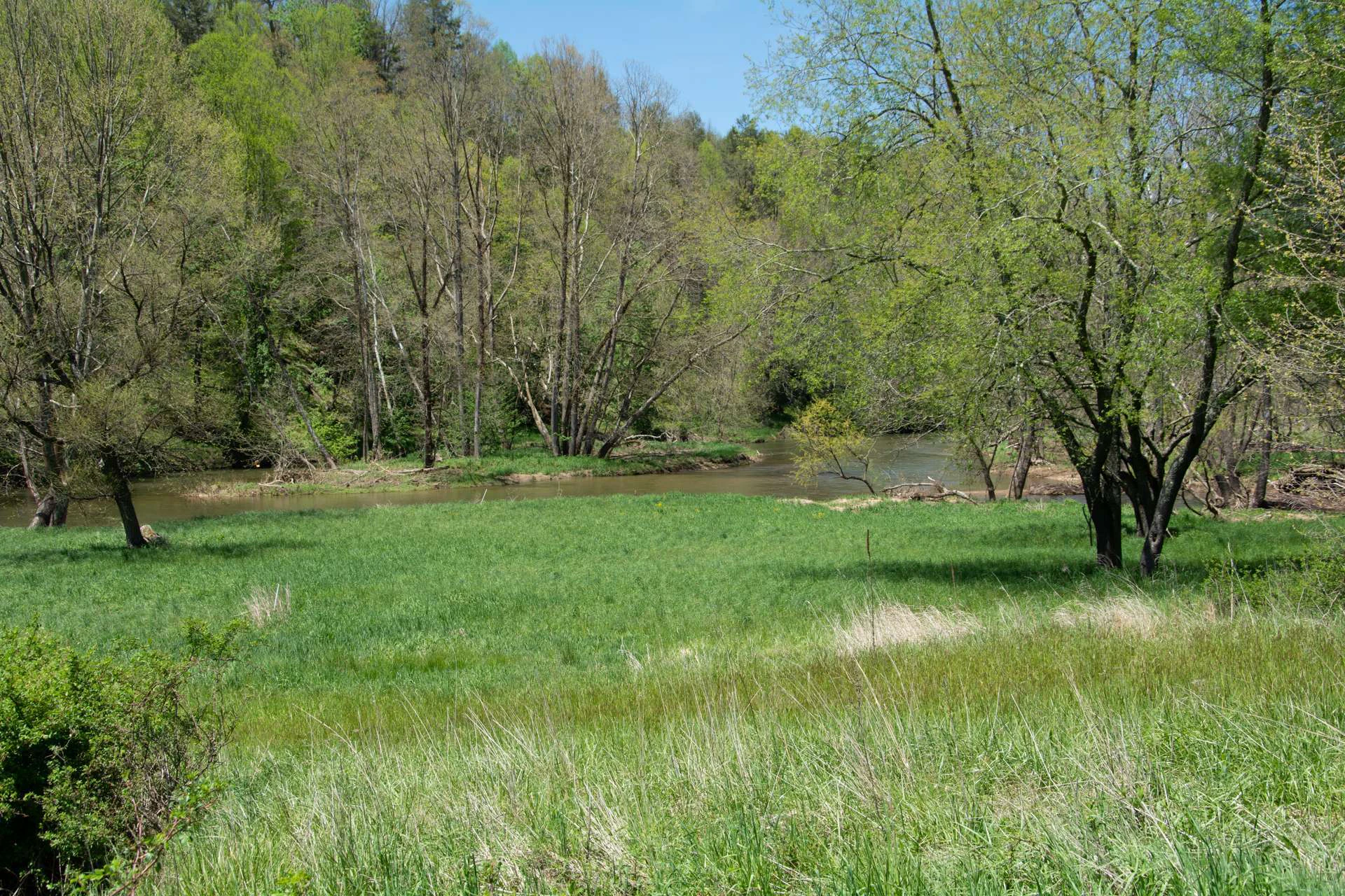 Image number 11 for the current listing
