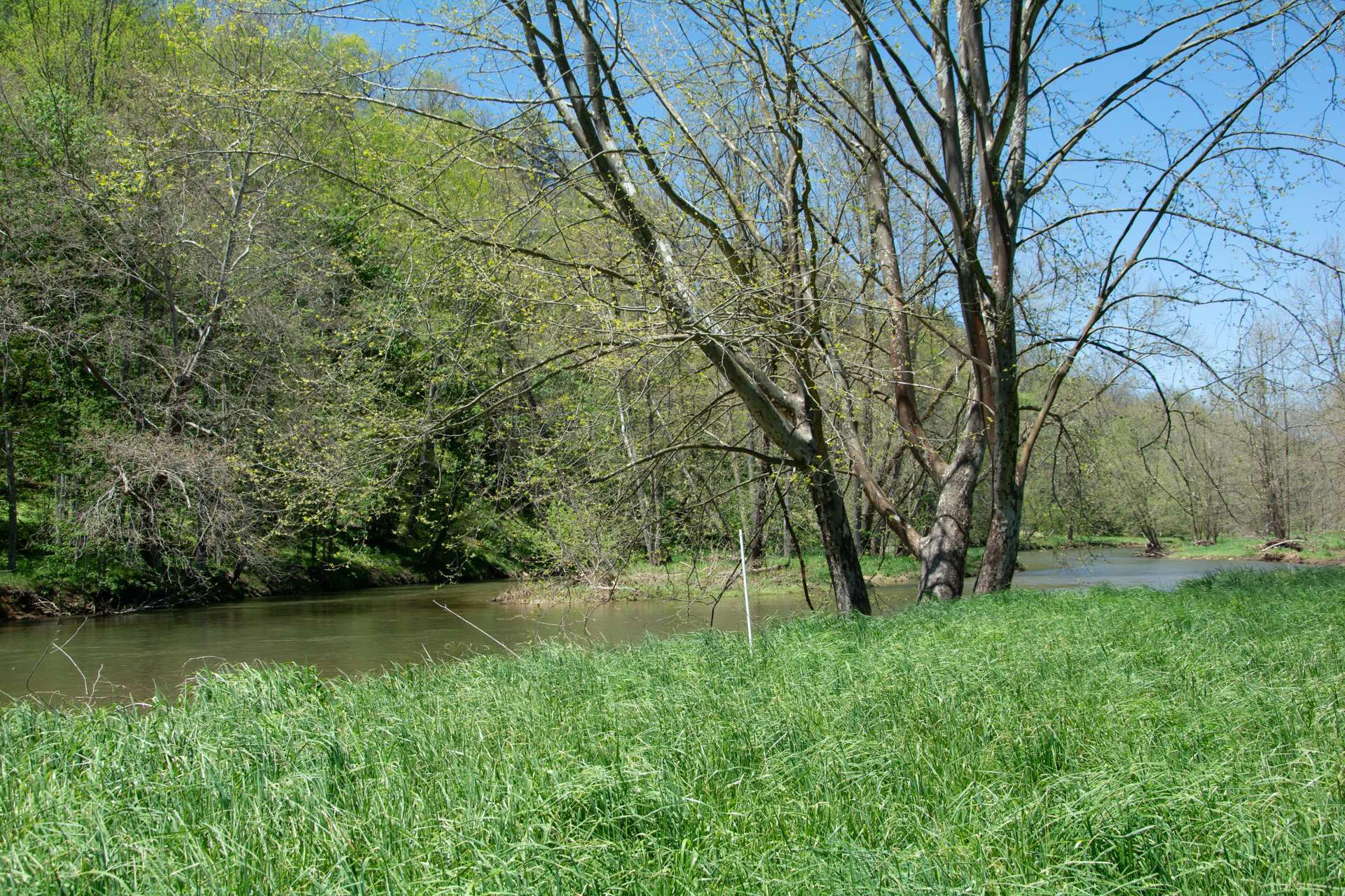 Image number 10 for the current listing
