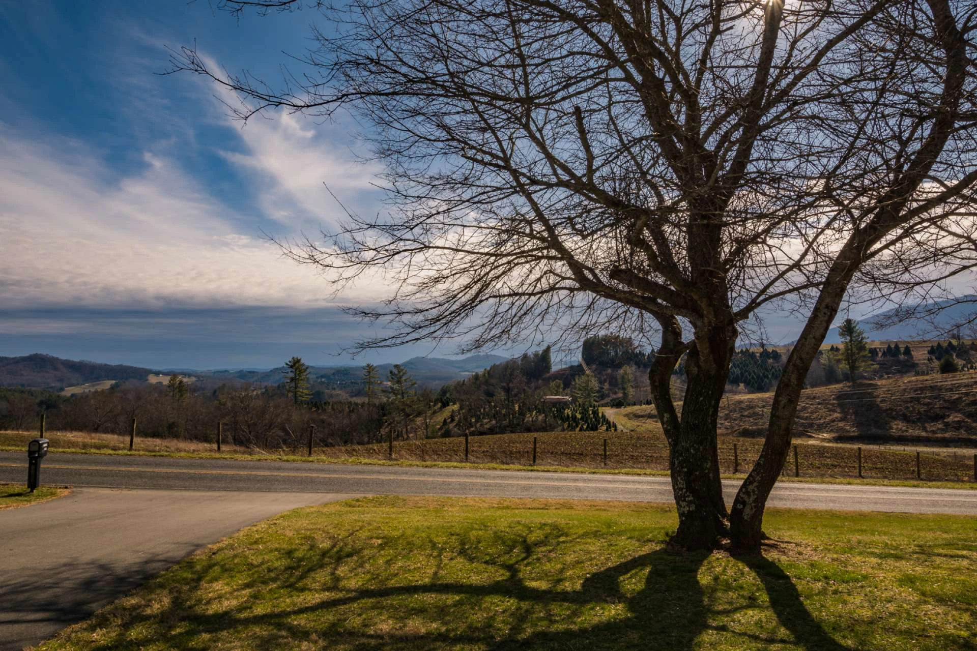 Image number 6 for the current listing