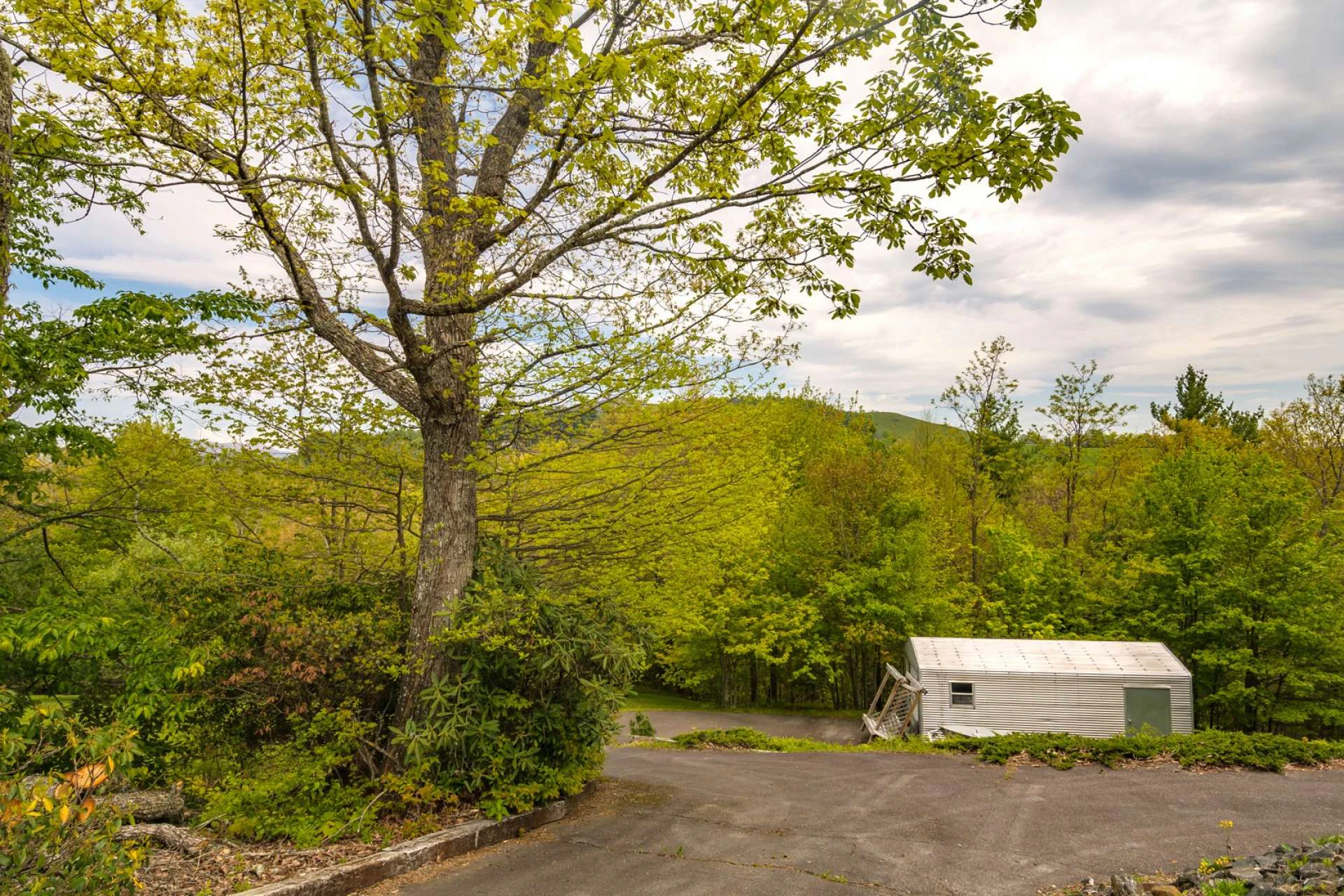 Image number 15 for the current listing
