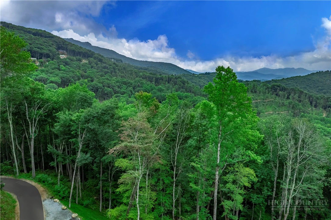 Image number 1 for the current listing