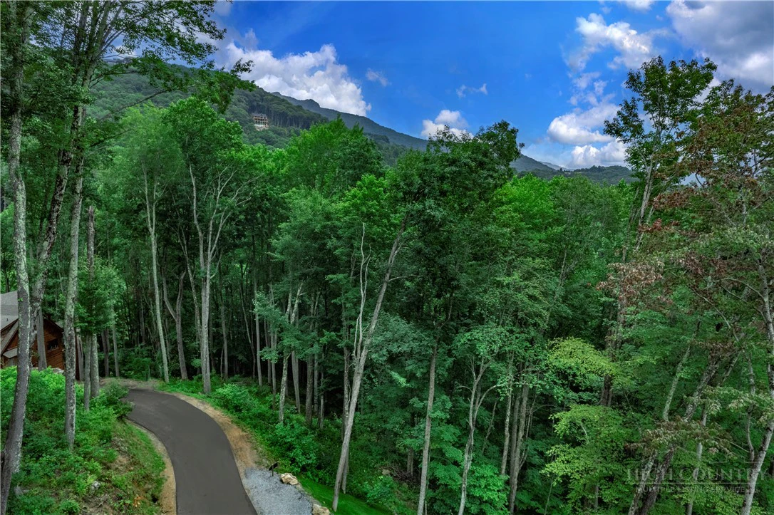Image number 3 for the current listing