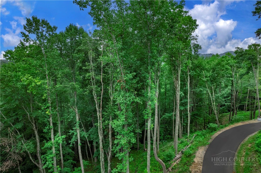 Image number 4 for the current listing