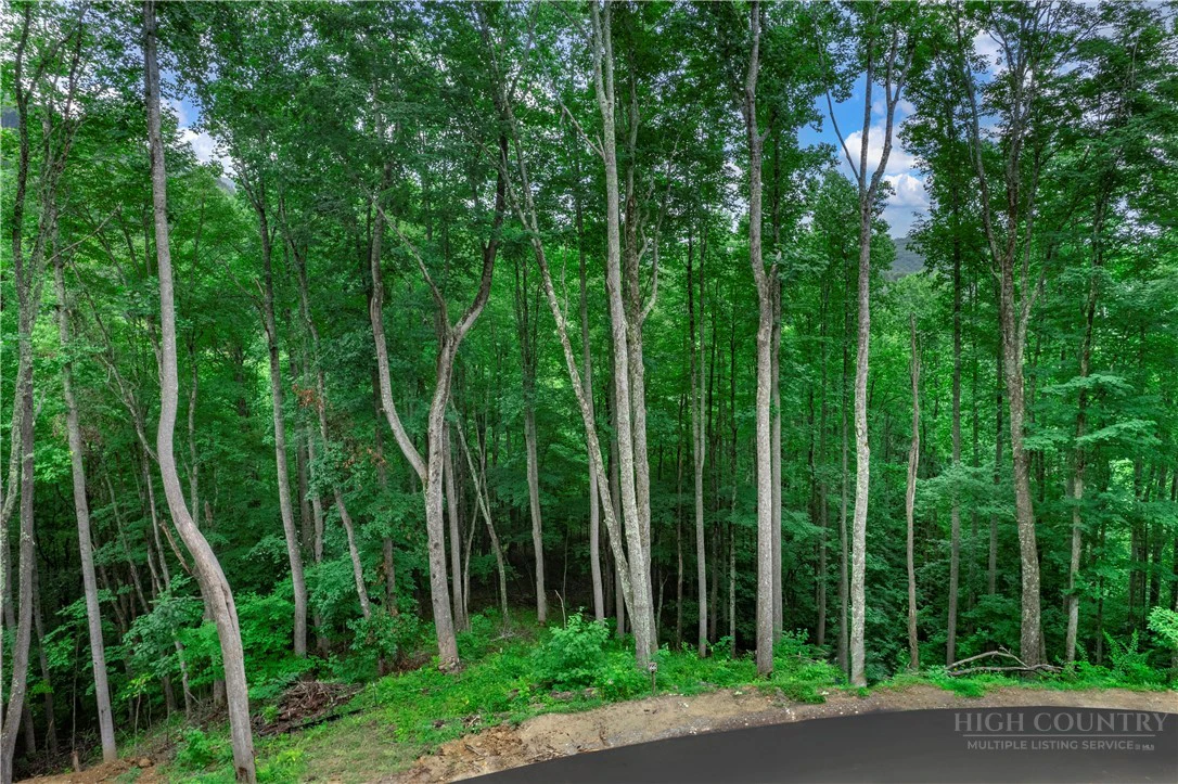 Image number 2 for the current listing
