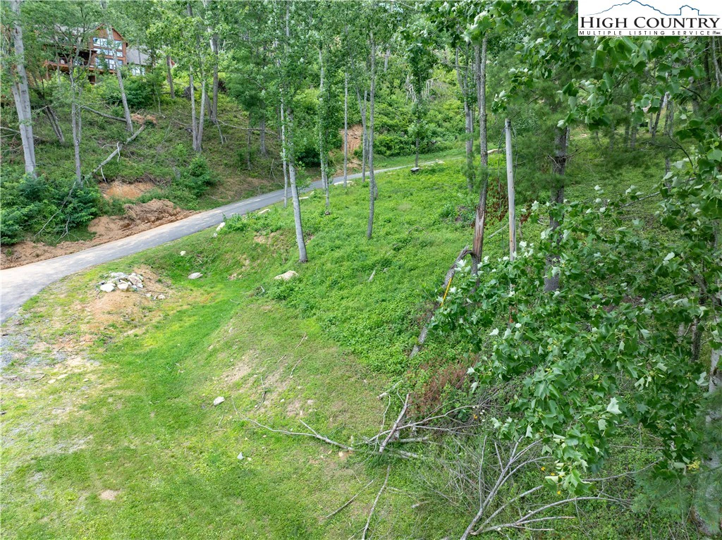 Image number 13 for the current listing