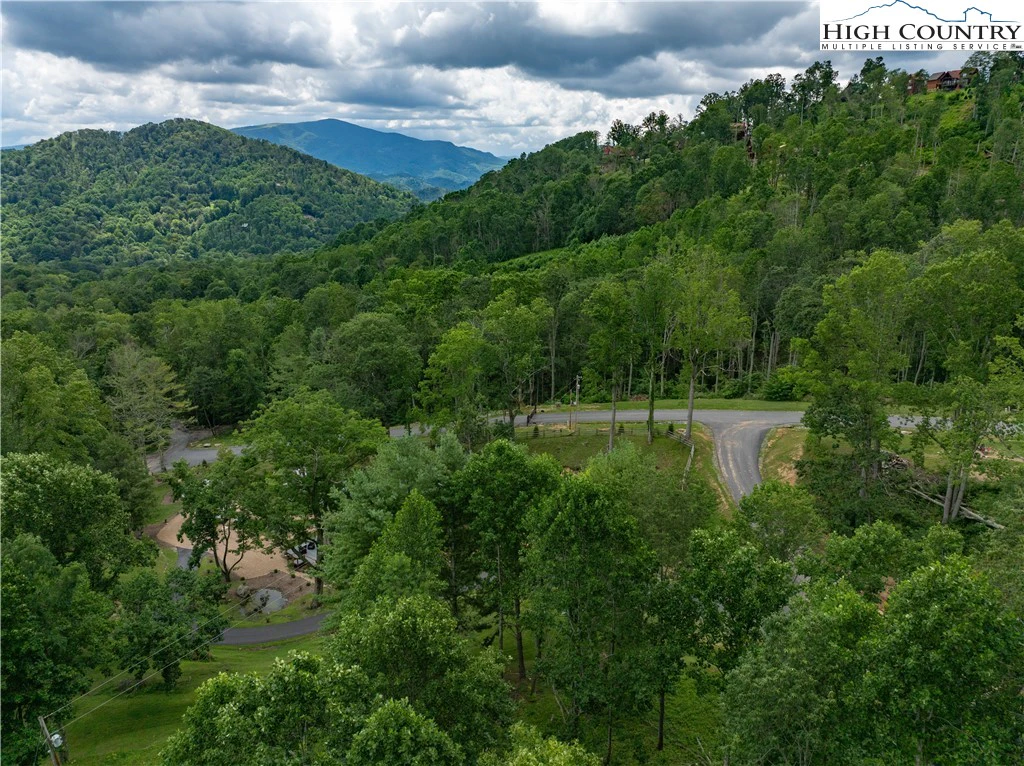 Image number 1 for the current listing