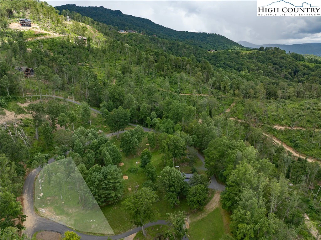 Image number 2 for the current listing