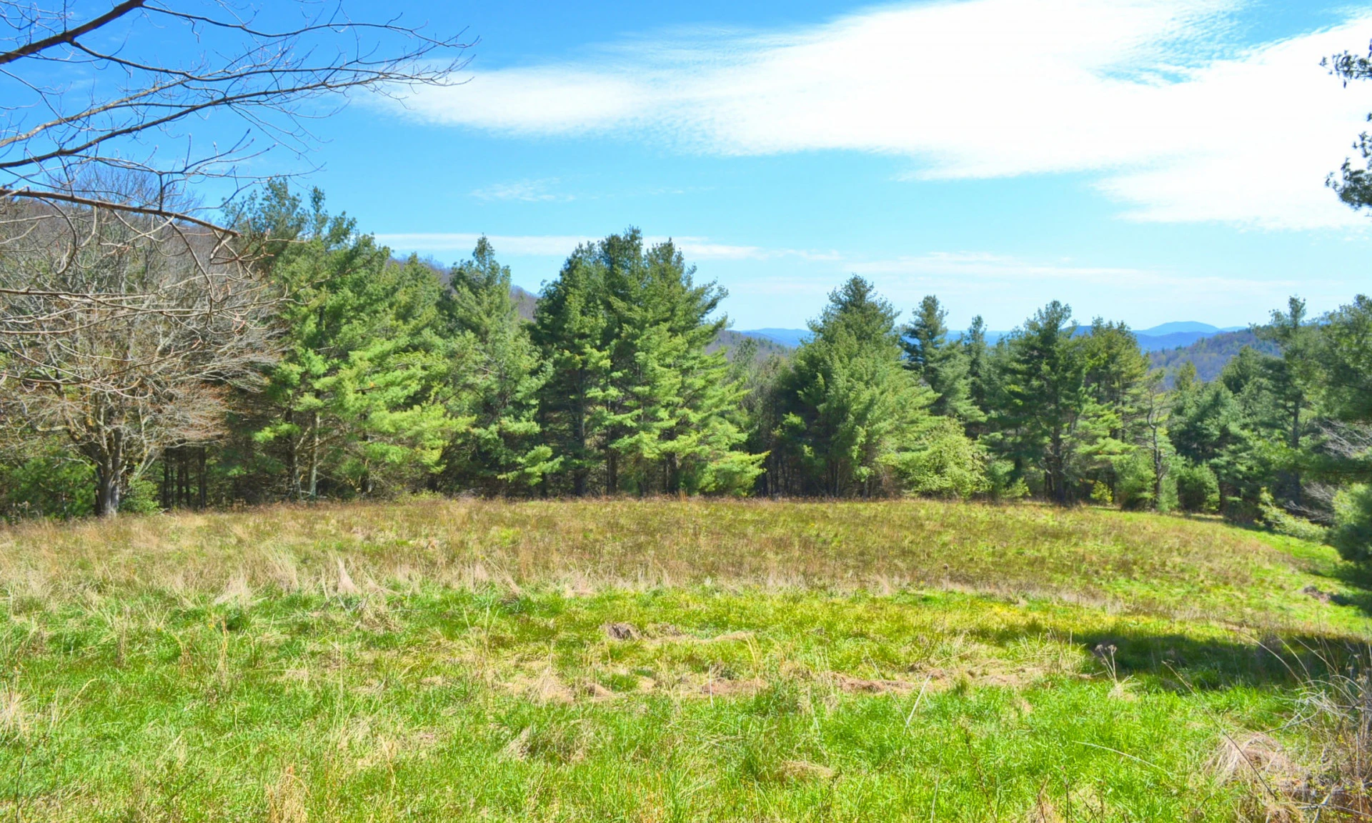 Image number 1 for the current listing