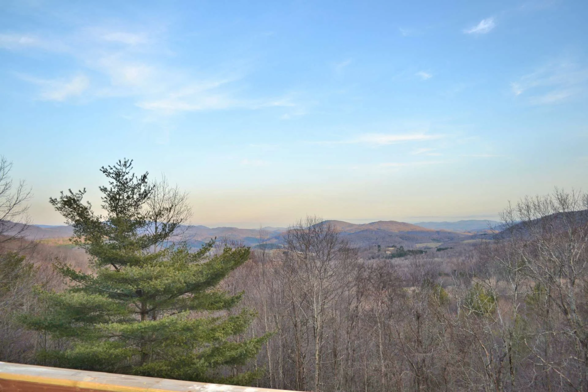 Image number 13 for the current listing