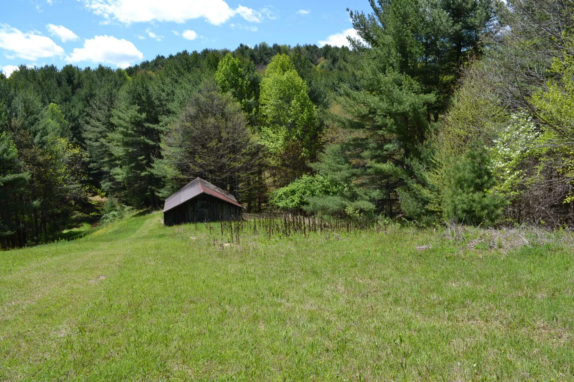 Image number 9 for the current listing