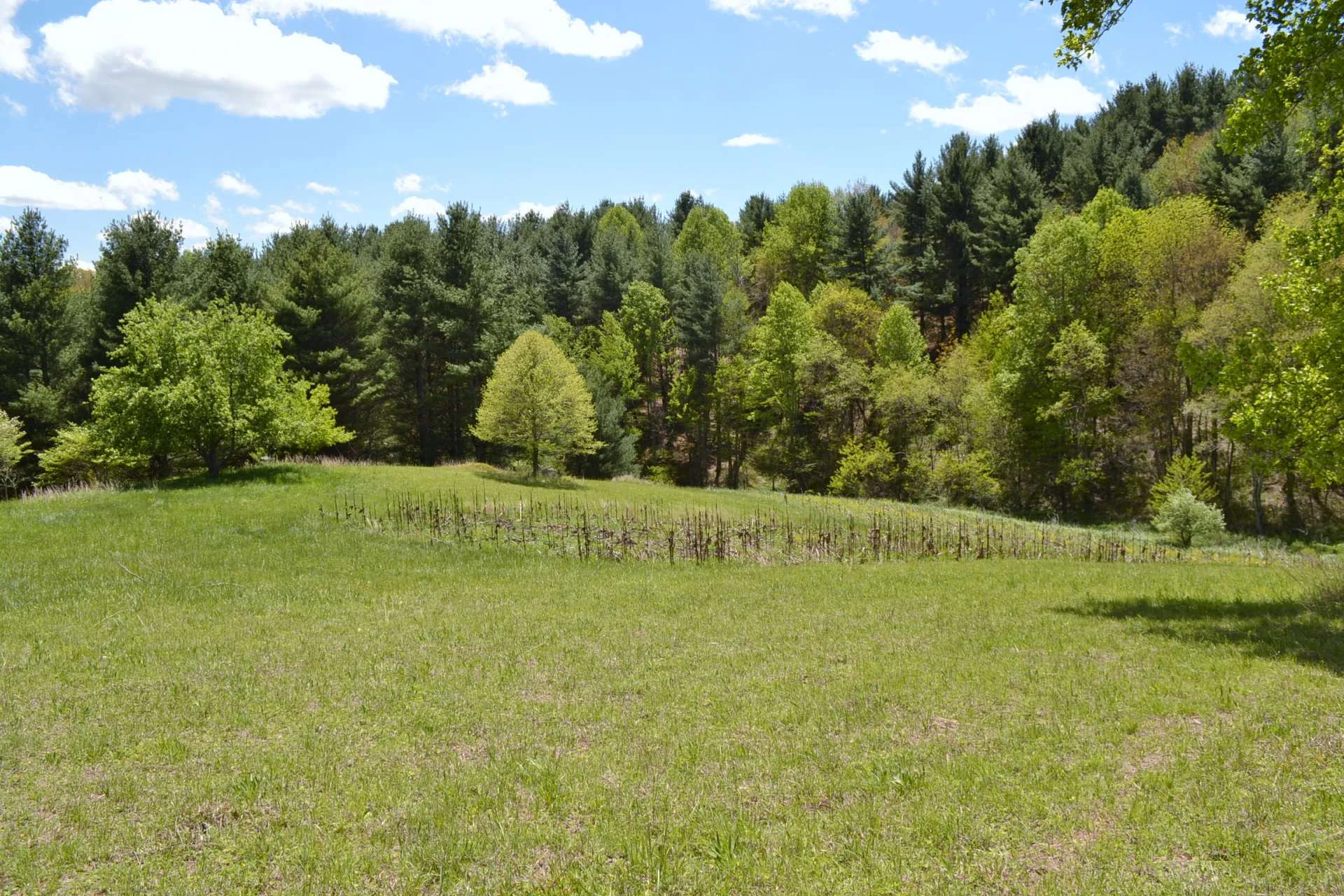Image number 7 for the current listing