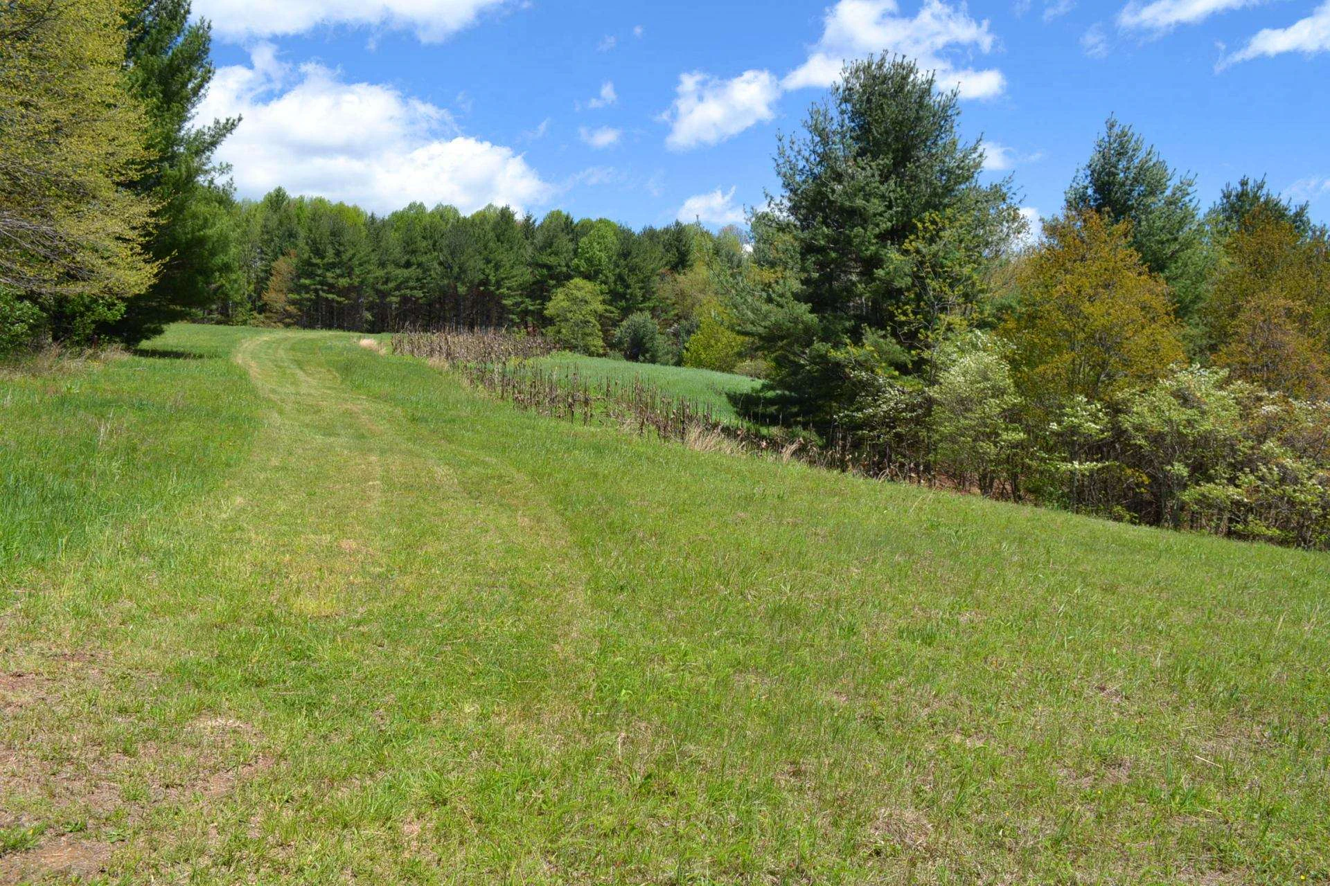 Image number 6 for the current listing
