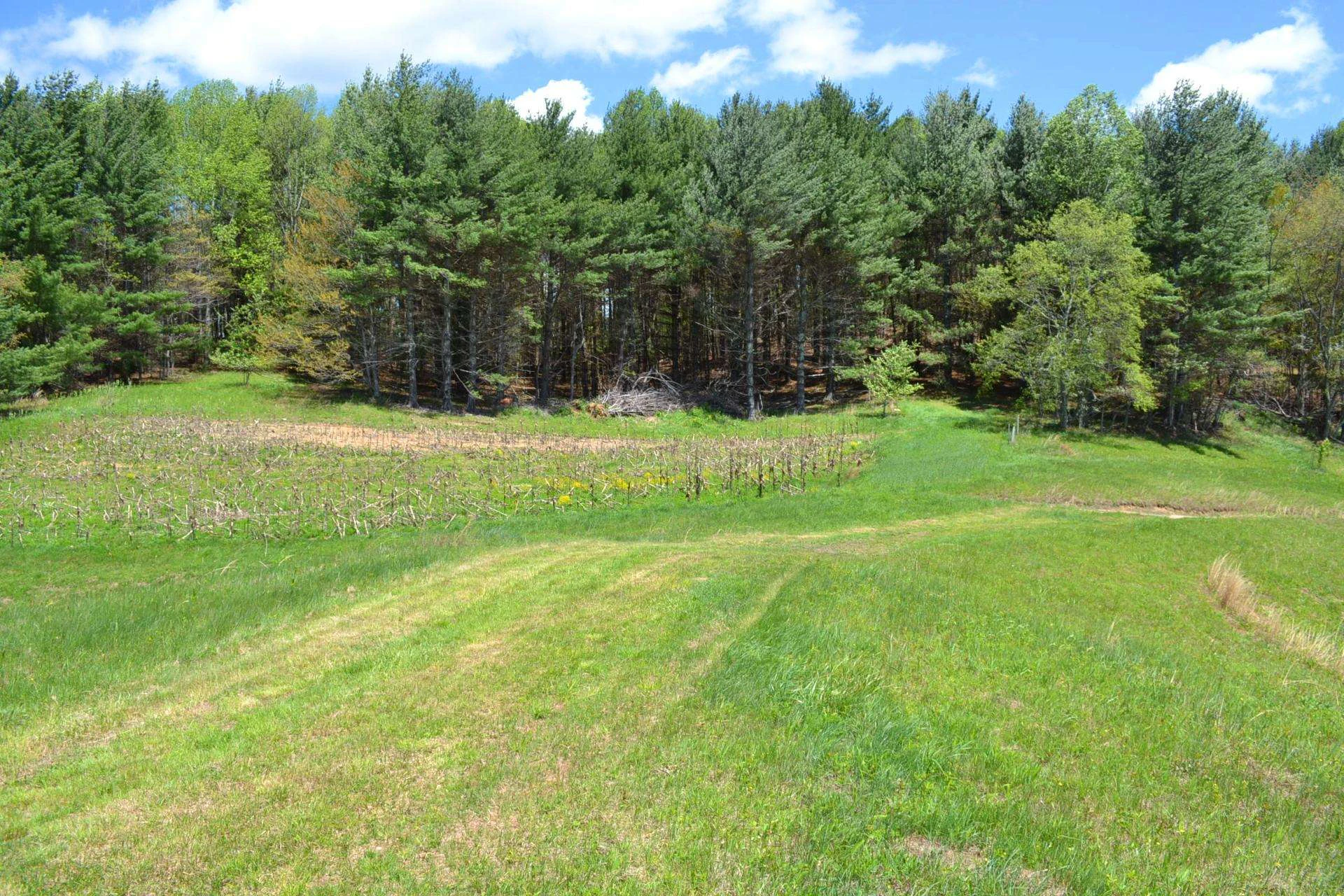 Image number 5 for the current listing