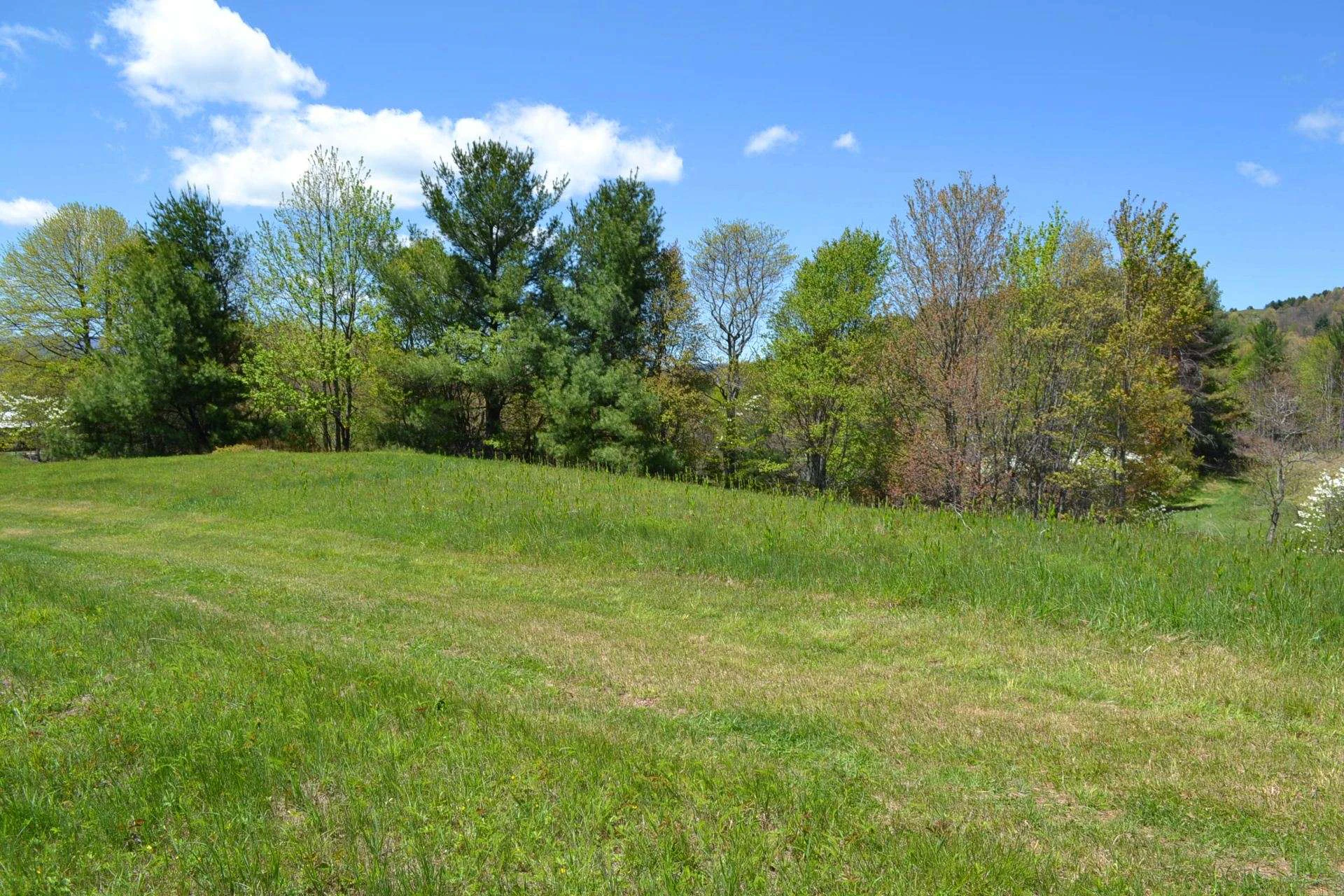 Image number 14 for the current listing