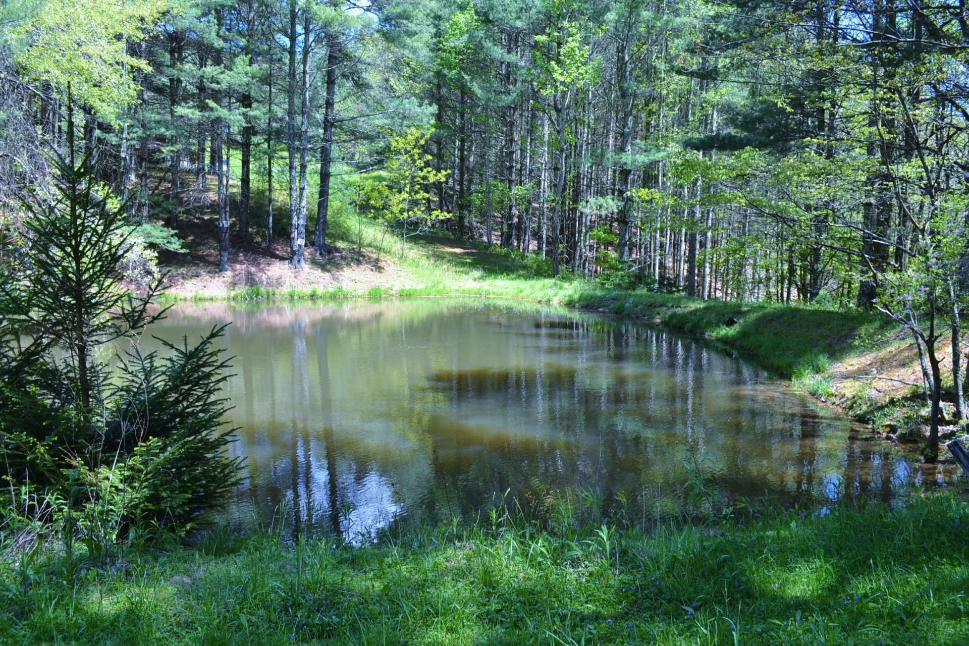 Image number 13 for the current listing
