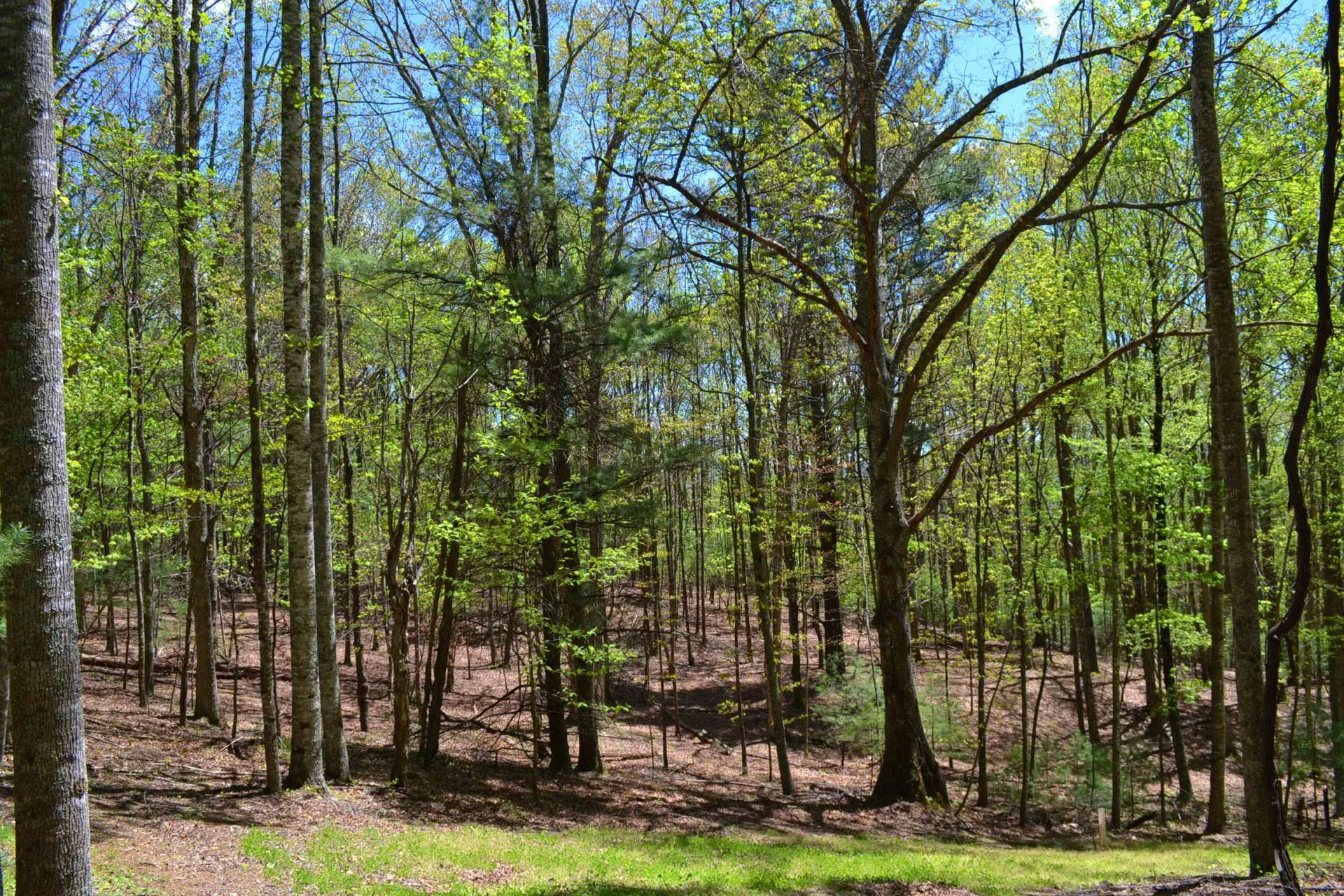Image number 18 for the current listing