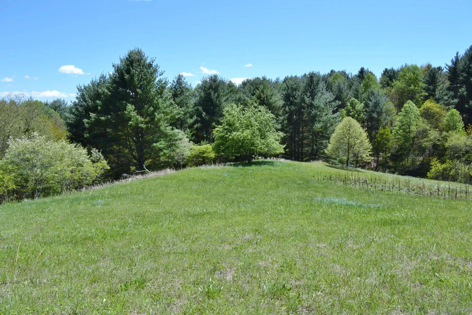 Image number 3 for the current listing