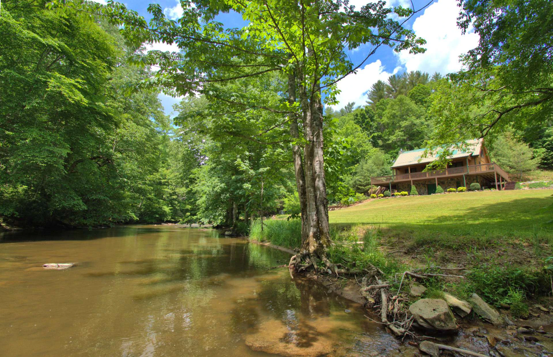 Image number 3 for the current listing