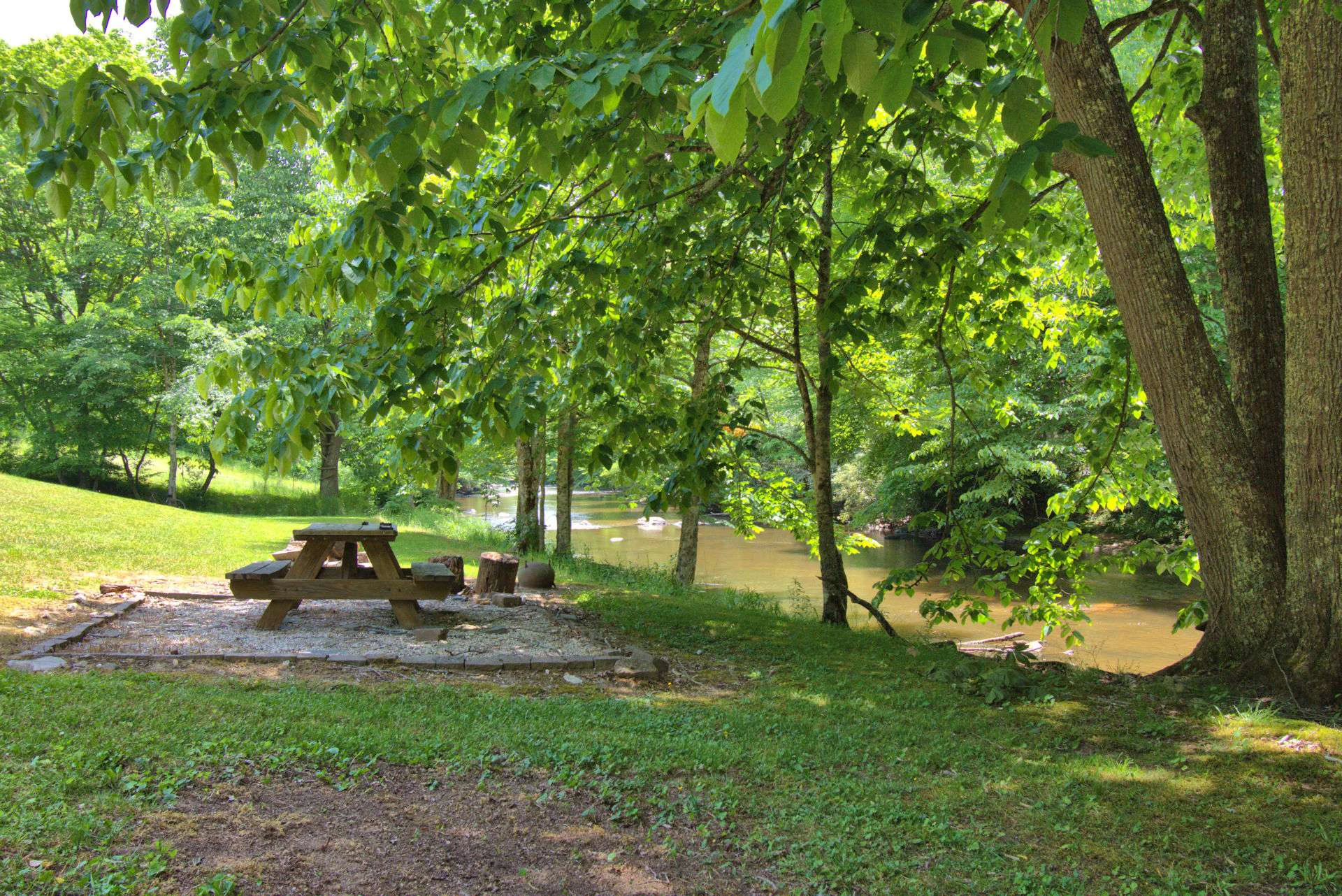 Image number 5 for the current listing