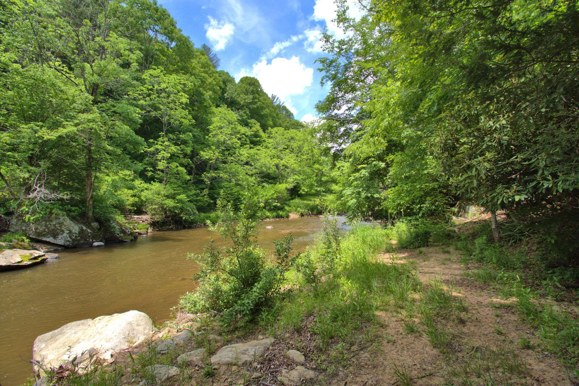 Image number 6 for the current listing