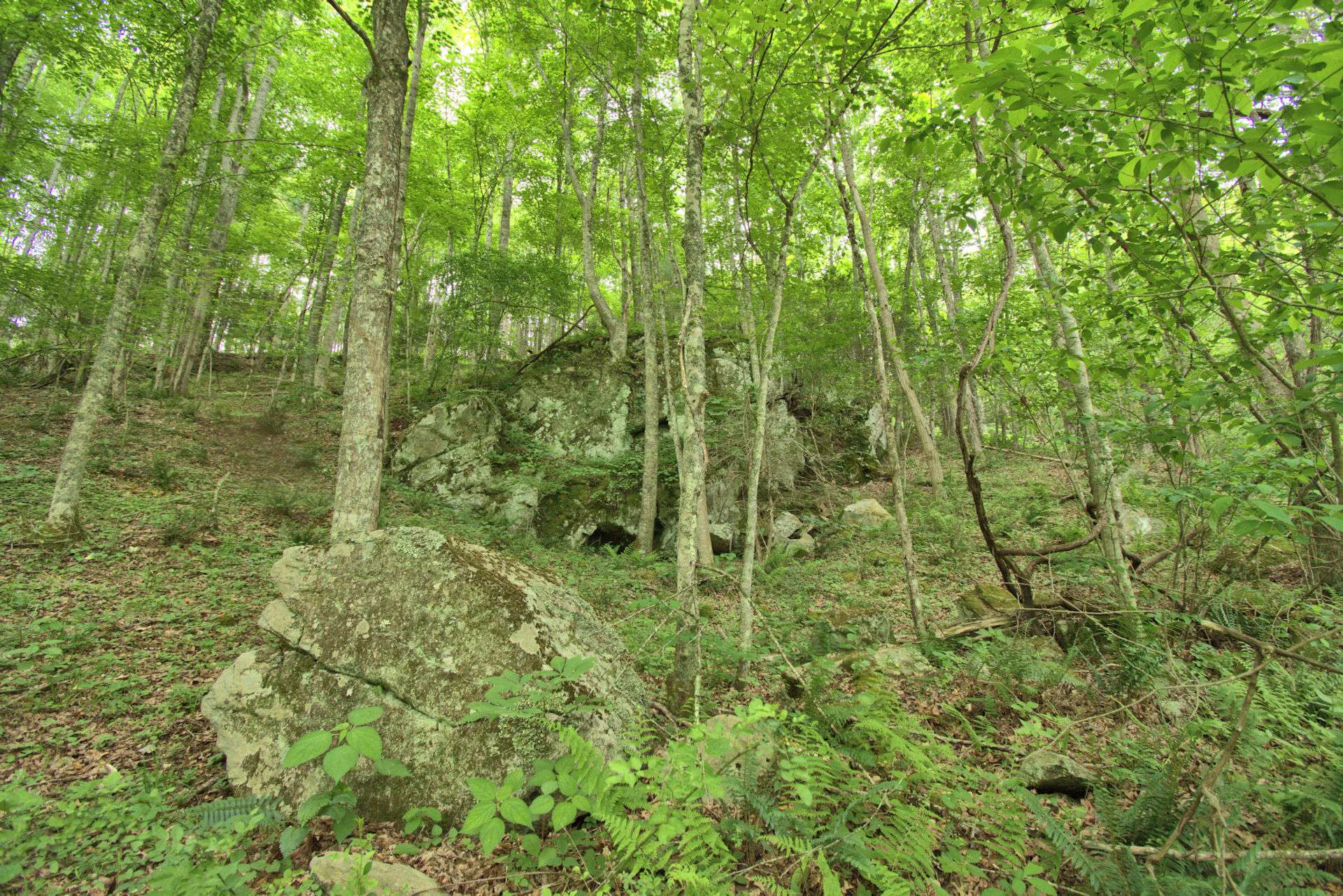 Image number 8 for the current listing